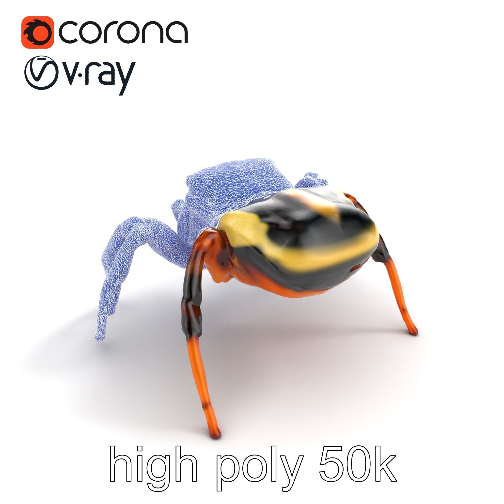 Jumping Spider Colorful Pattern Agile Leaping model pack Low-poly 3D model_19