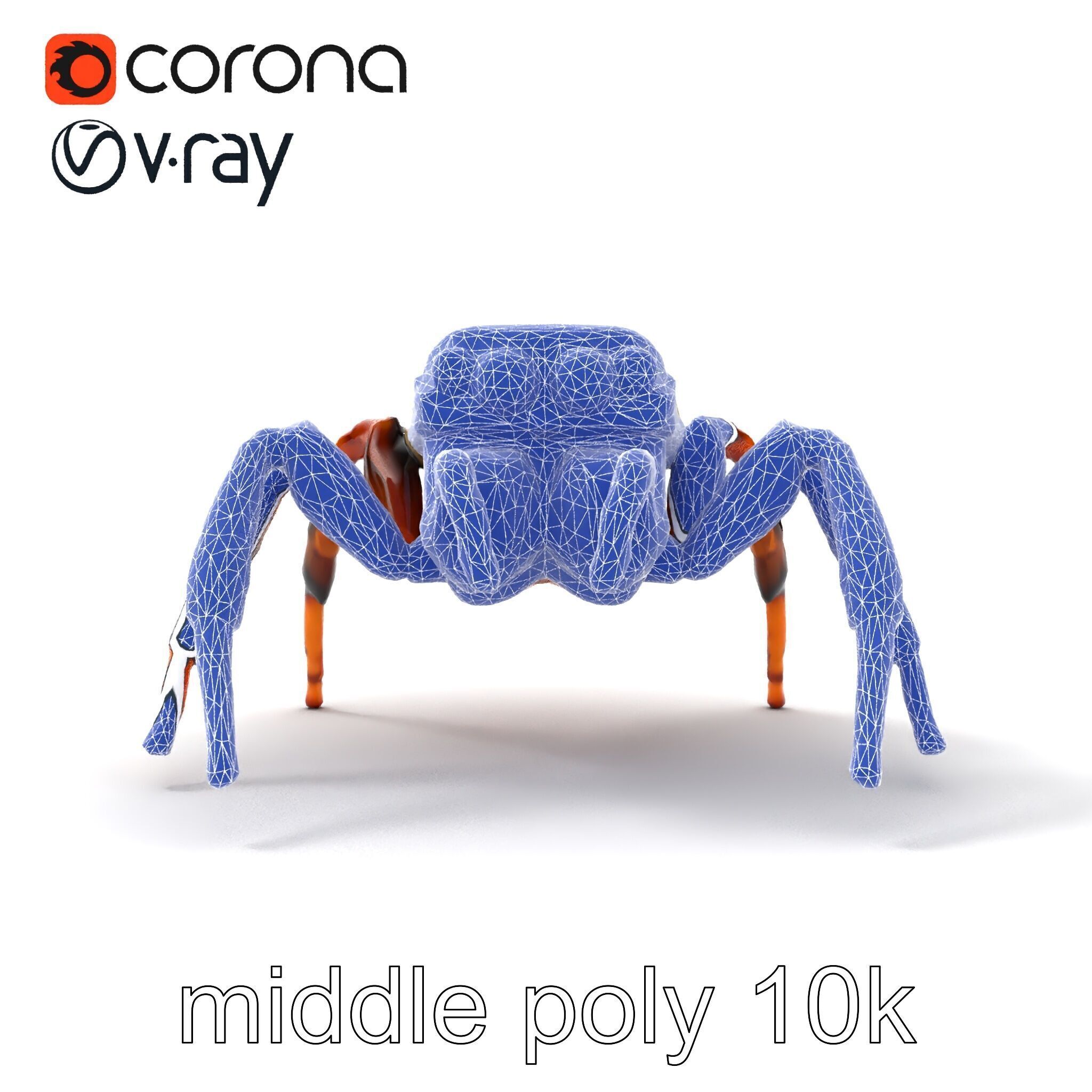 Jumping Spider Colorful Pattern Agile Leaping model pack Low-poly 3D model_32