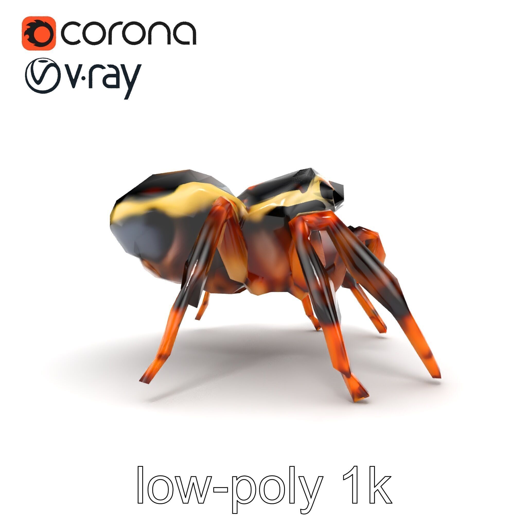 Jumping Spider Colorful Pattern Agile Leaping model pack Low-poly 3D model_20