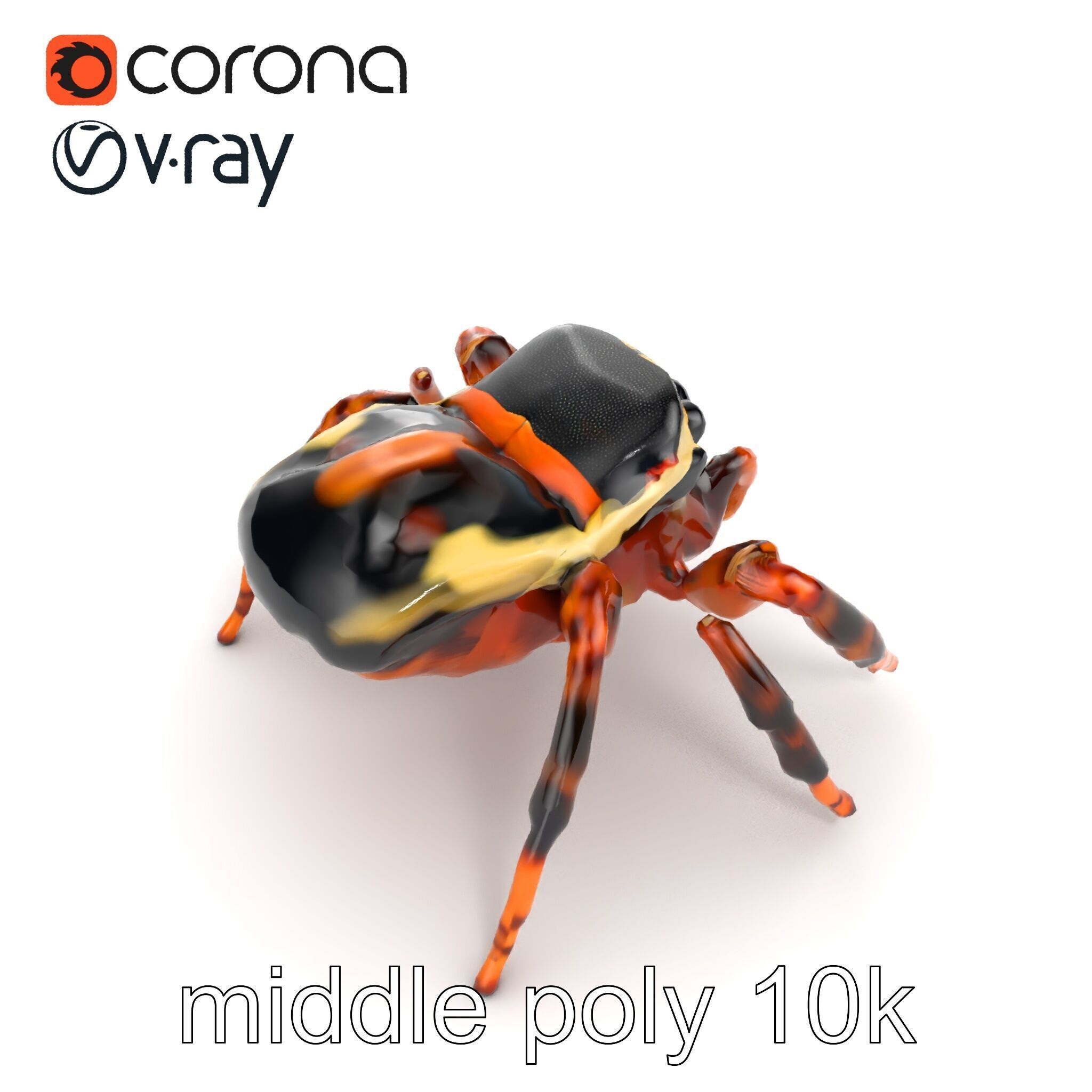 Jumping Spider Colorful Pattern Agile Leaping model pack Low-poly 3D model_13