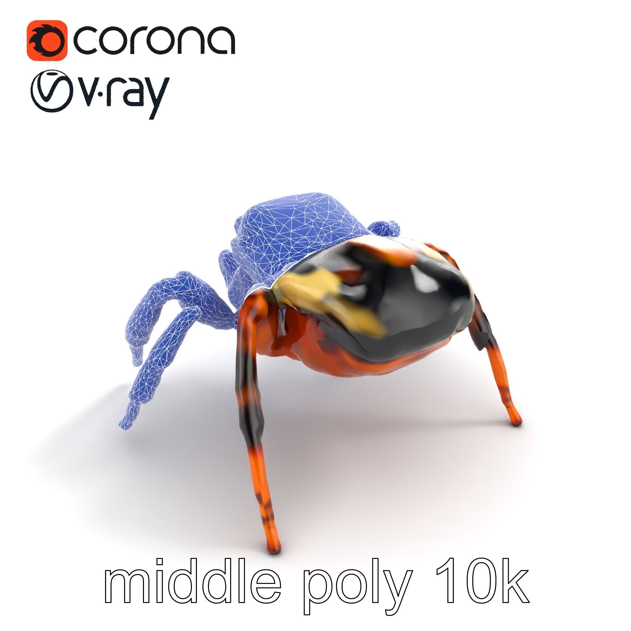 Jumping Spider Colorful Pattern Agile Leaping model pack Low-poly 3D model_16