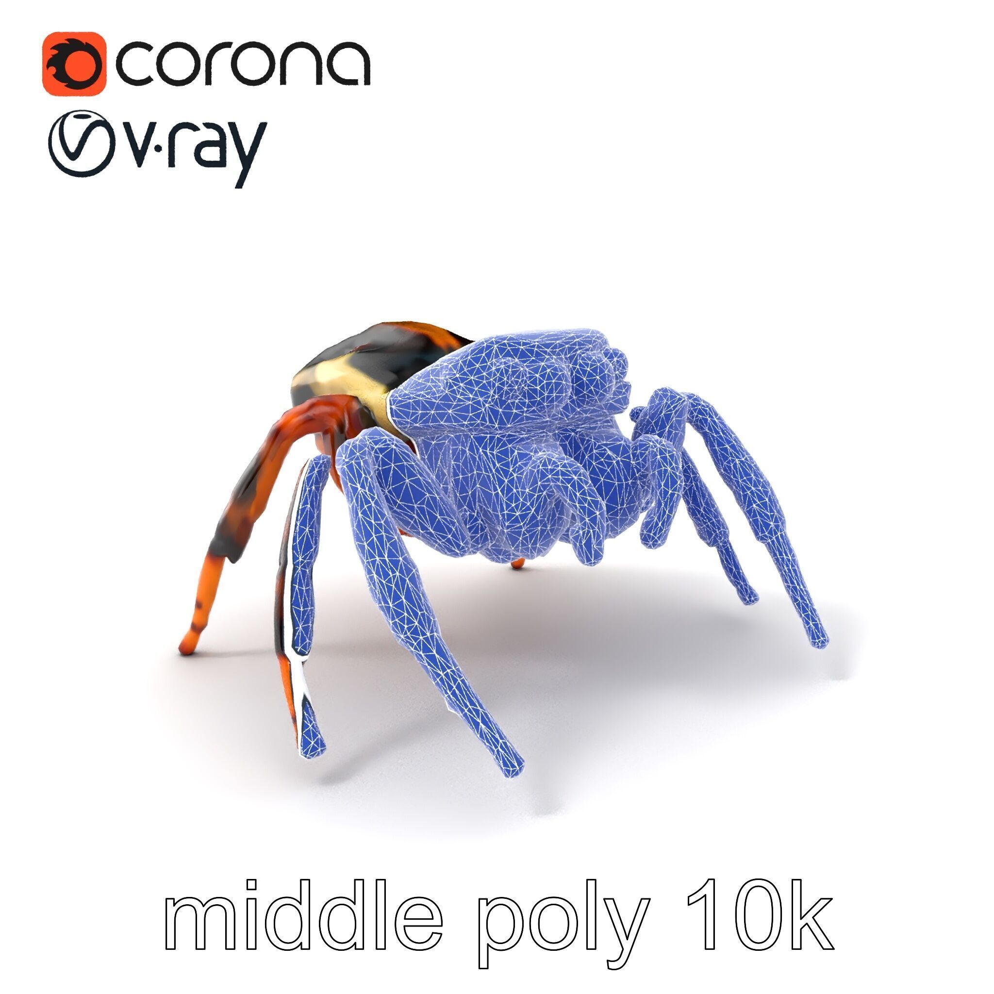 Jumping Spider Colorful Pattern Agile Leaping model pack Low-poly 3D model_6