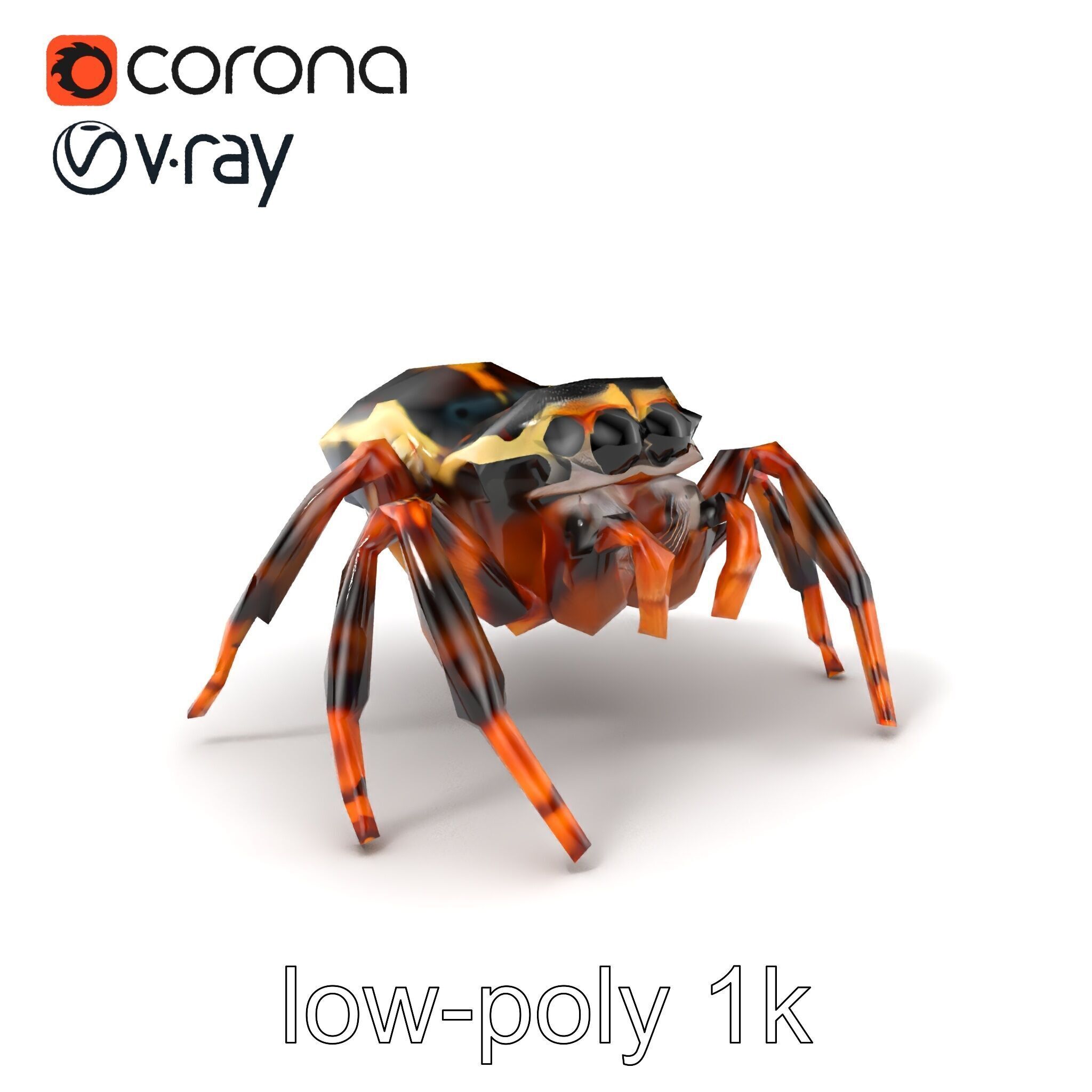 Jumping Spider Colorful Pattern Agile Leaping model pack Low-poly 3D model_5