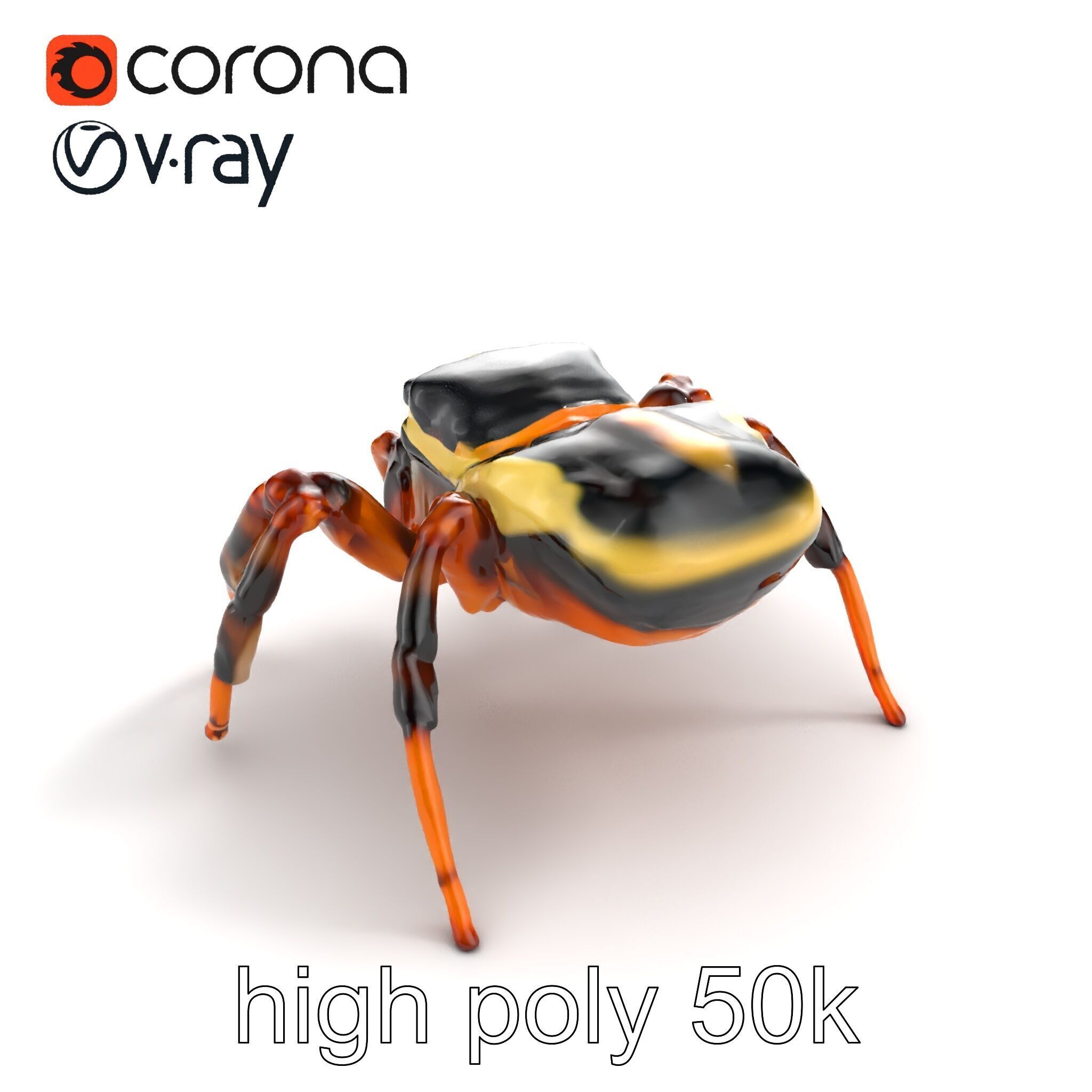 Jumping Spider Colorful Pattern Agile Leaping model pack Low-poly 3D model_17