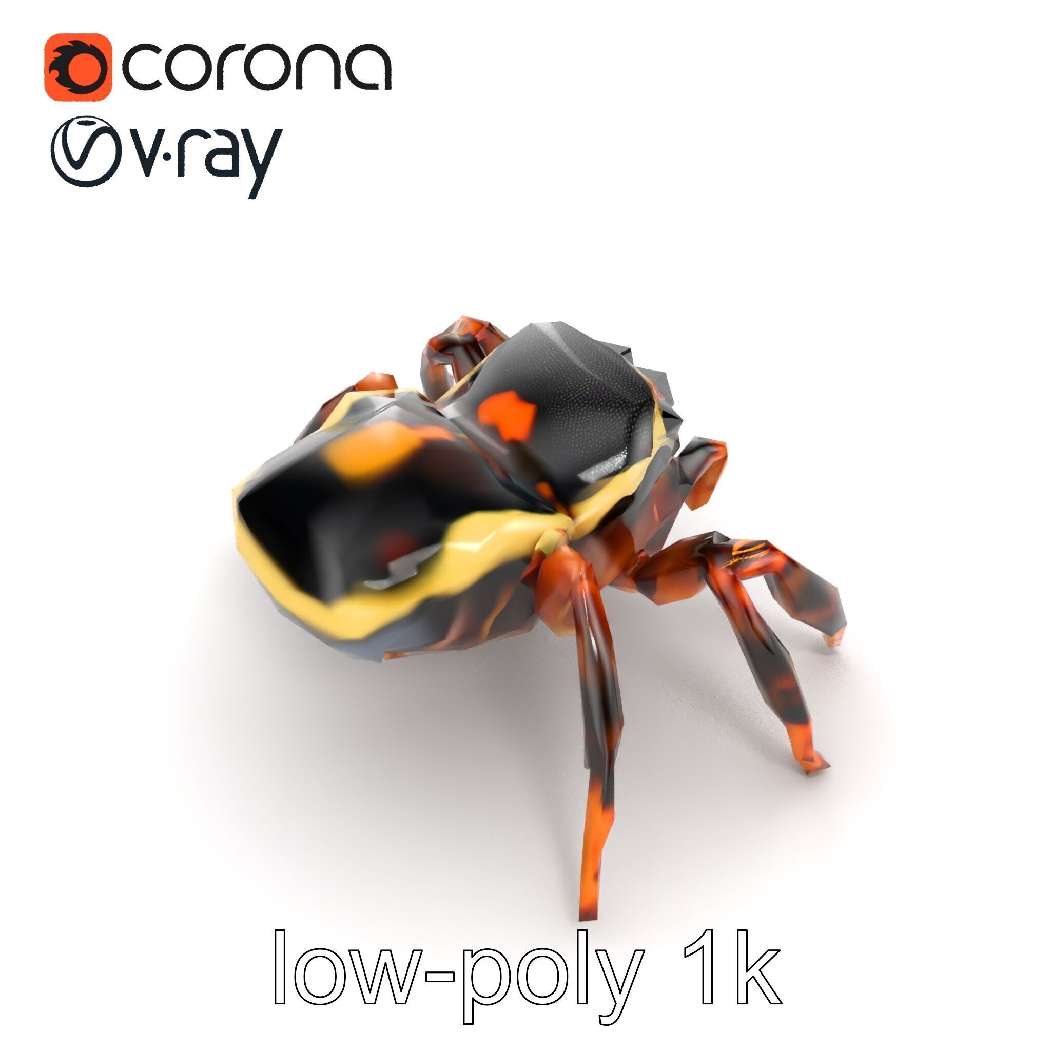 Jumping Spider Colorful Pattern Agile Leaping model pack Low-poly 3D model_23