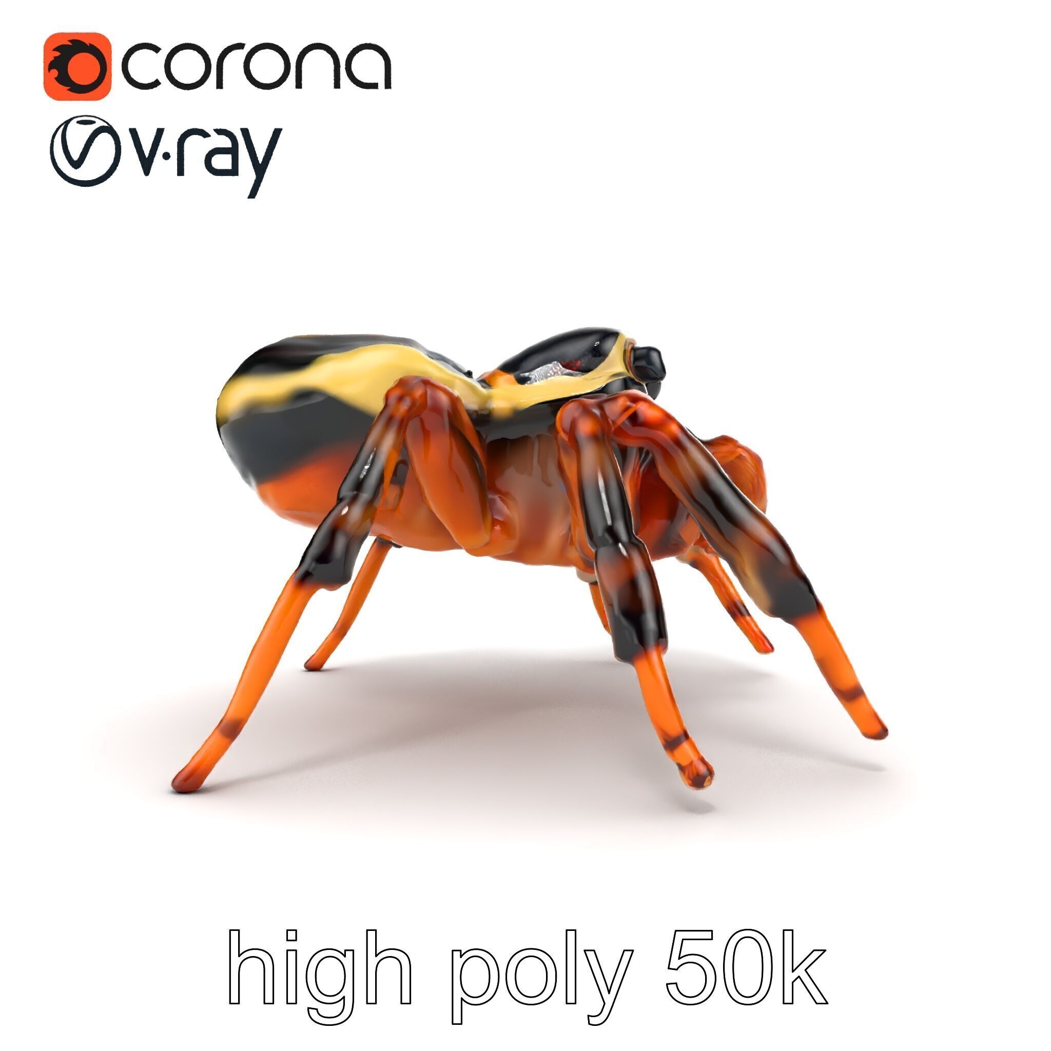 Jumping Spider Colorful Pattern Agile Leaping model pack Low-poly 3D model_25