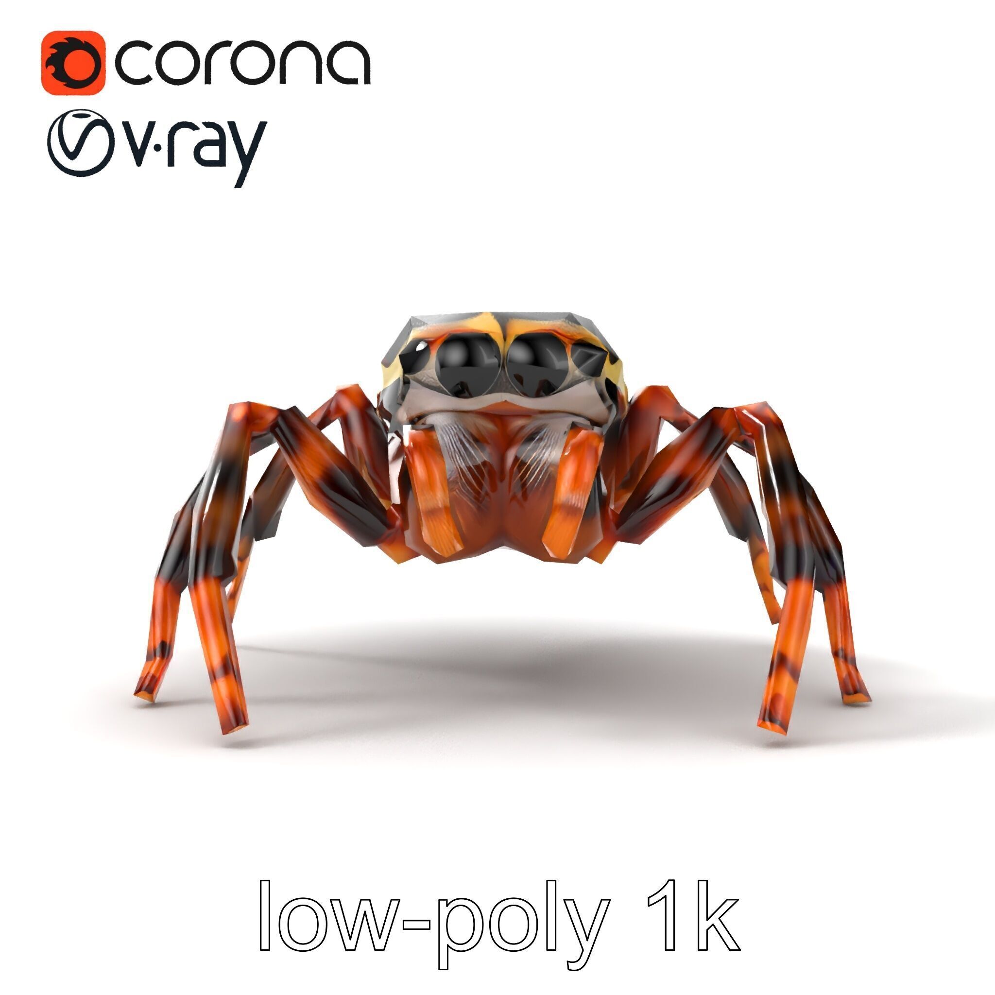 Jumping Spider Colorful Pattern Agile Leaping model pack Low-poly 3D model_24