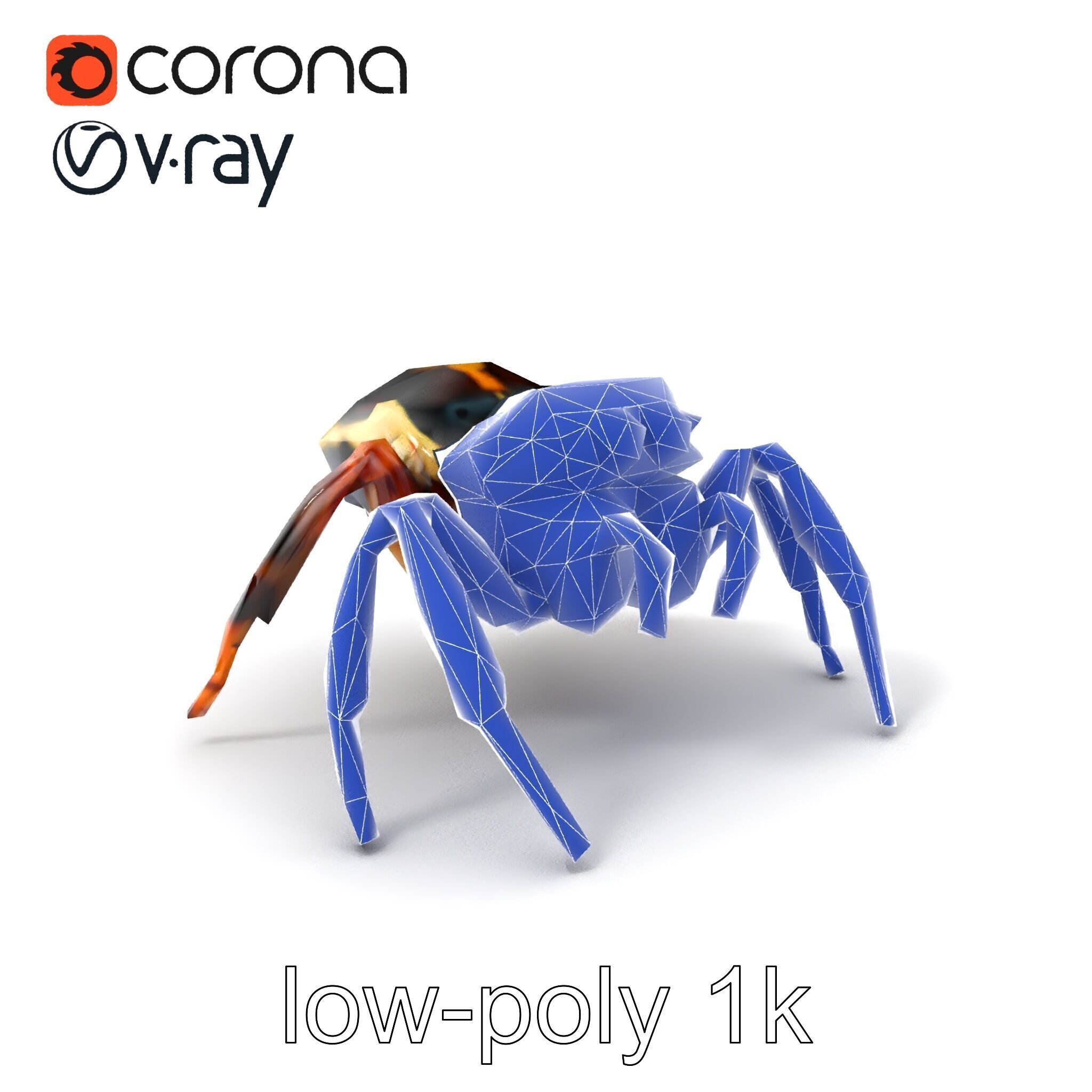 Jumping Spider Colorful Pattern Agile Leaping model pack Low-poly 3D model_7