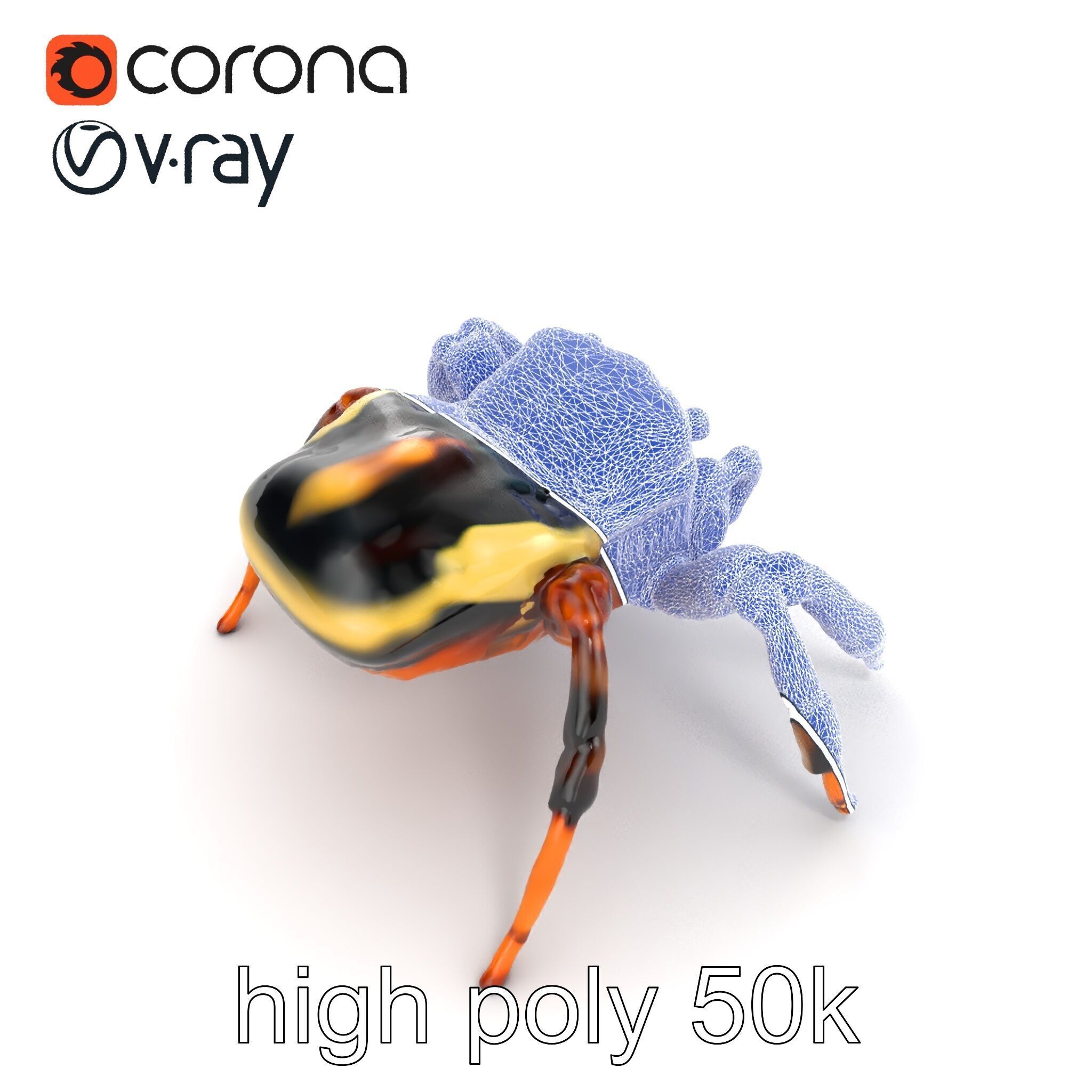 Jumping Spider Colorful Pattern Agile Leaping model pack Low-poly 3D model_30