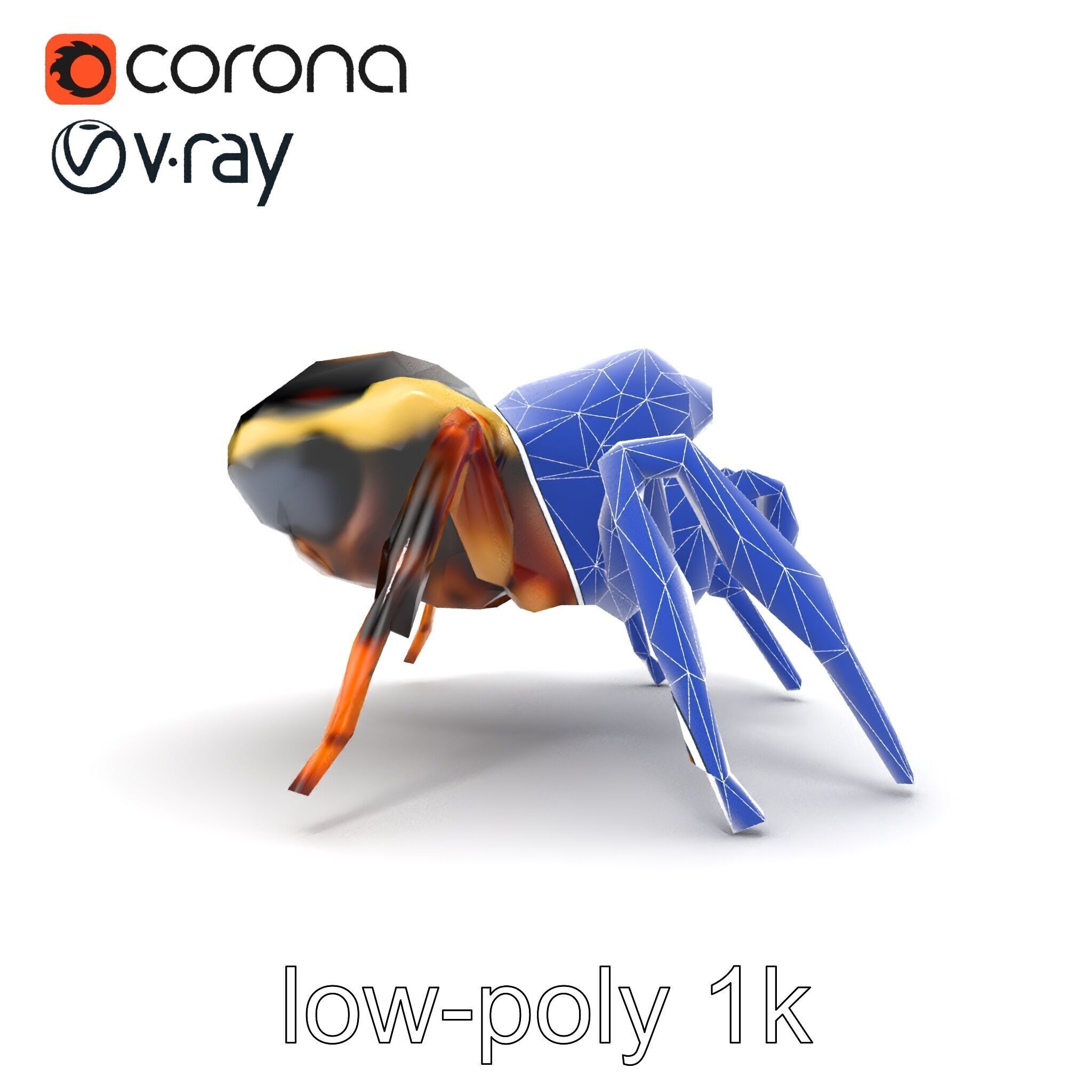 Jumping Spider Colorful Pattern Agile Leaping model pack Low-poly 3D model_31