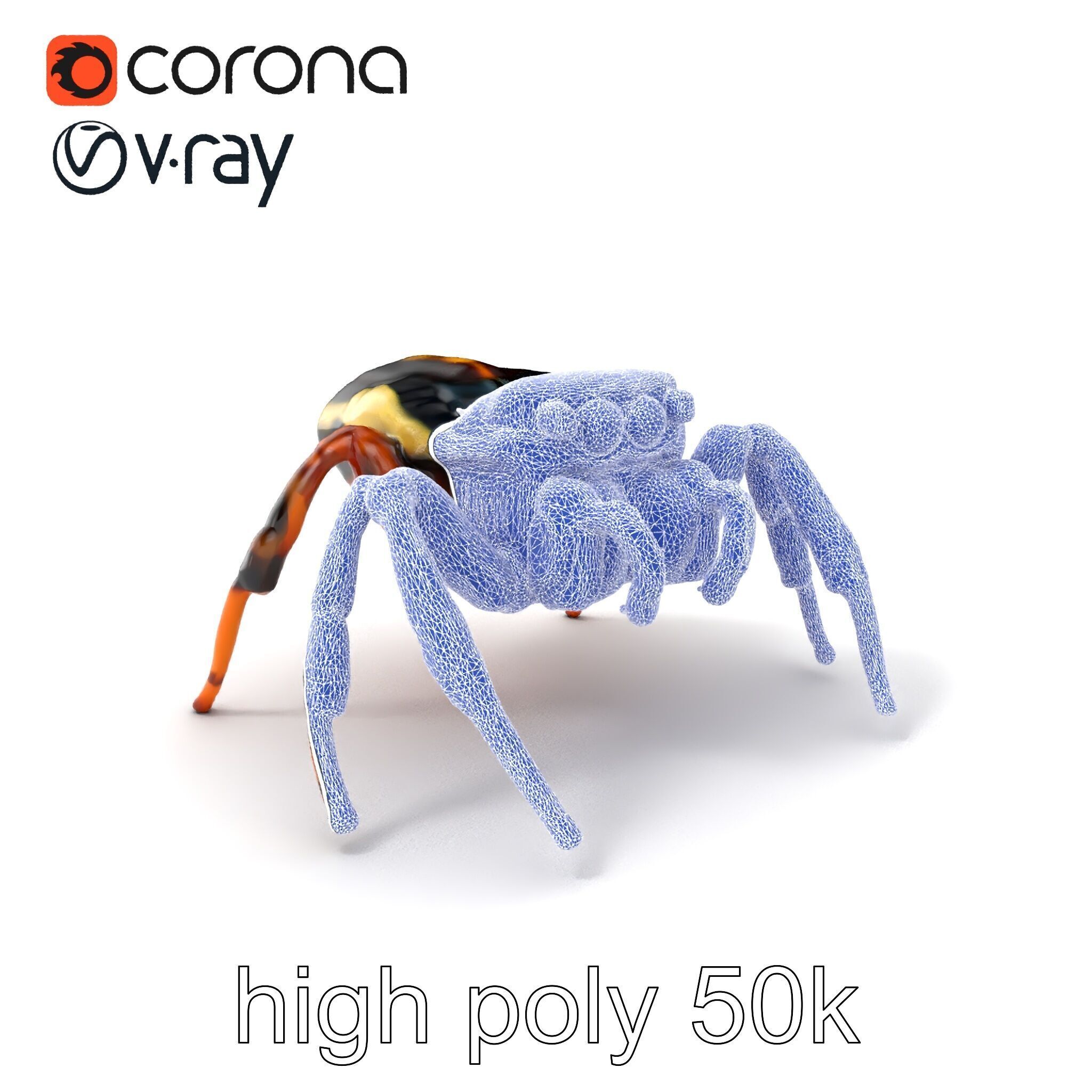 Jumping Spider Colorful Pattern Agile Leaping model pack Low-poly 3D model_10