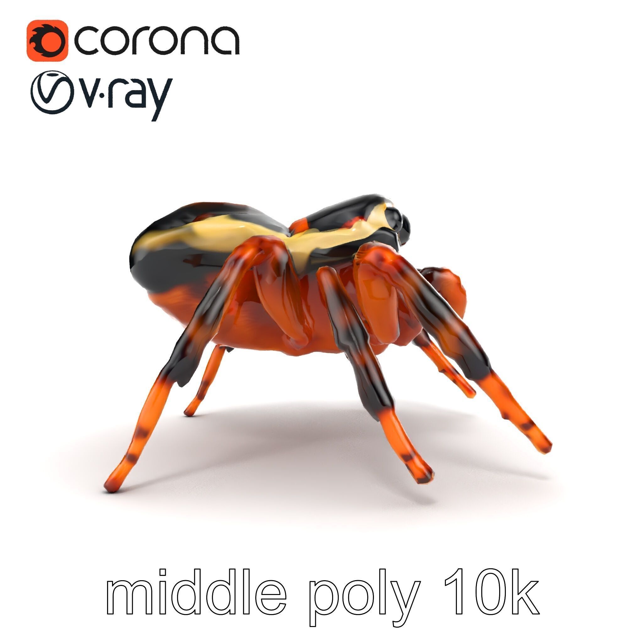 Jumping Spider Colorful Pattern Agile Leaping model pack Low-poly 3D model_18
