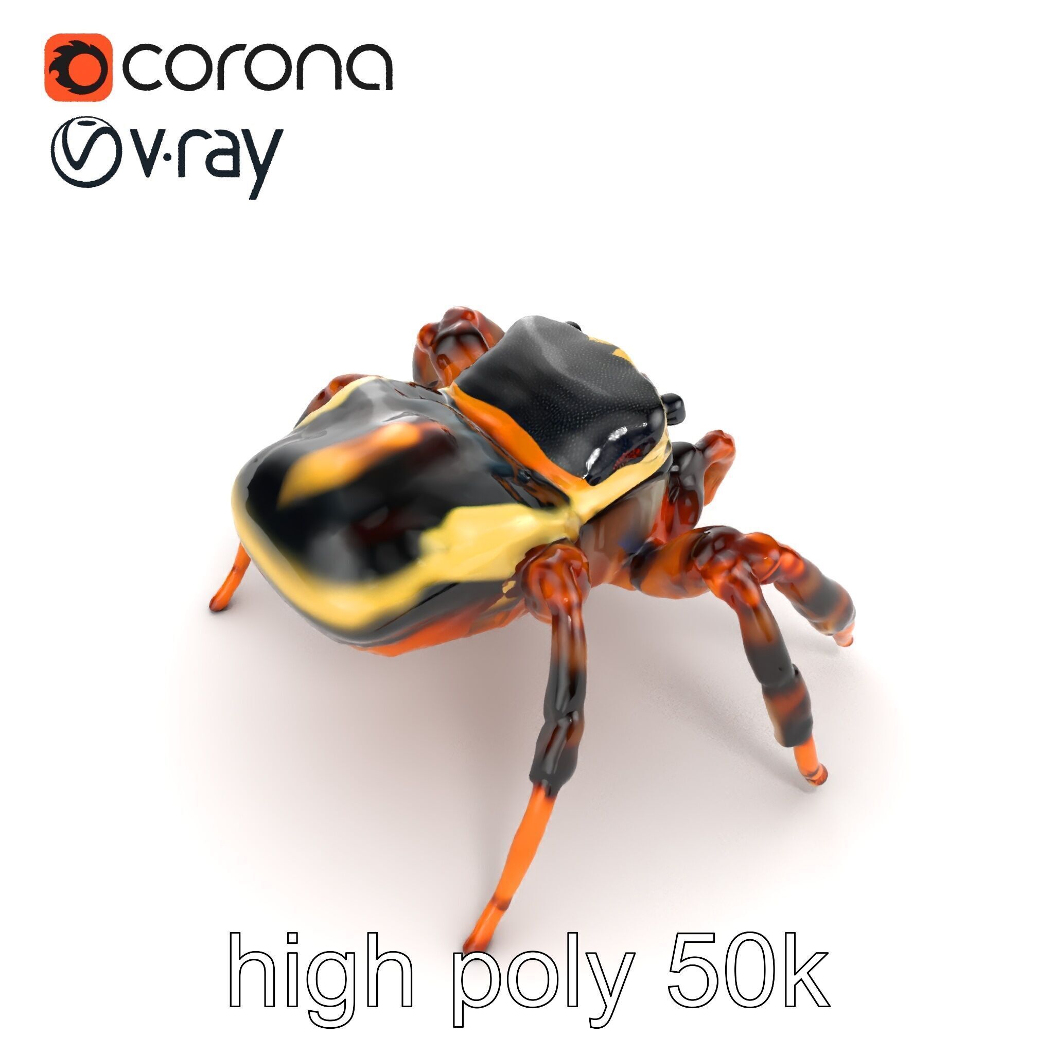 Jumping Spider Colorful Pattern Agile Leaping model pack Low-poly 3D model_14