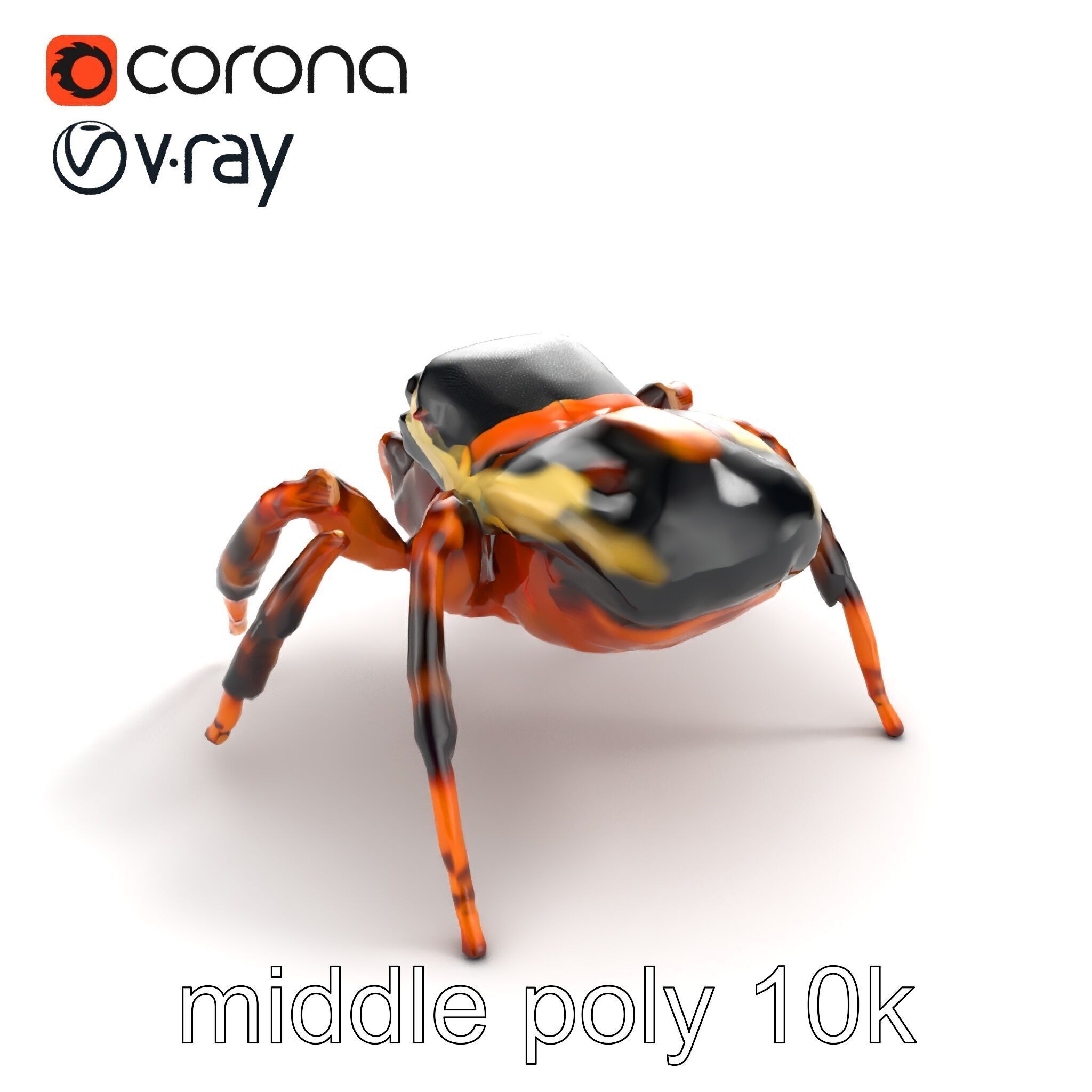 Jumping Spider Colorful Pattern Agile Leaping model pack Low-poly 3D model_8