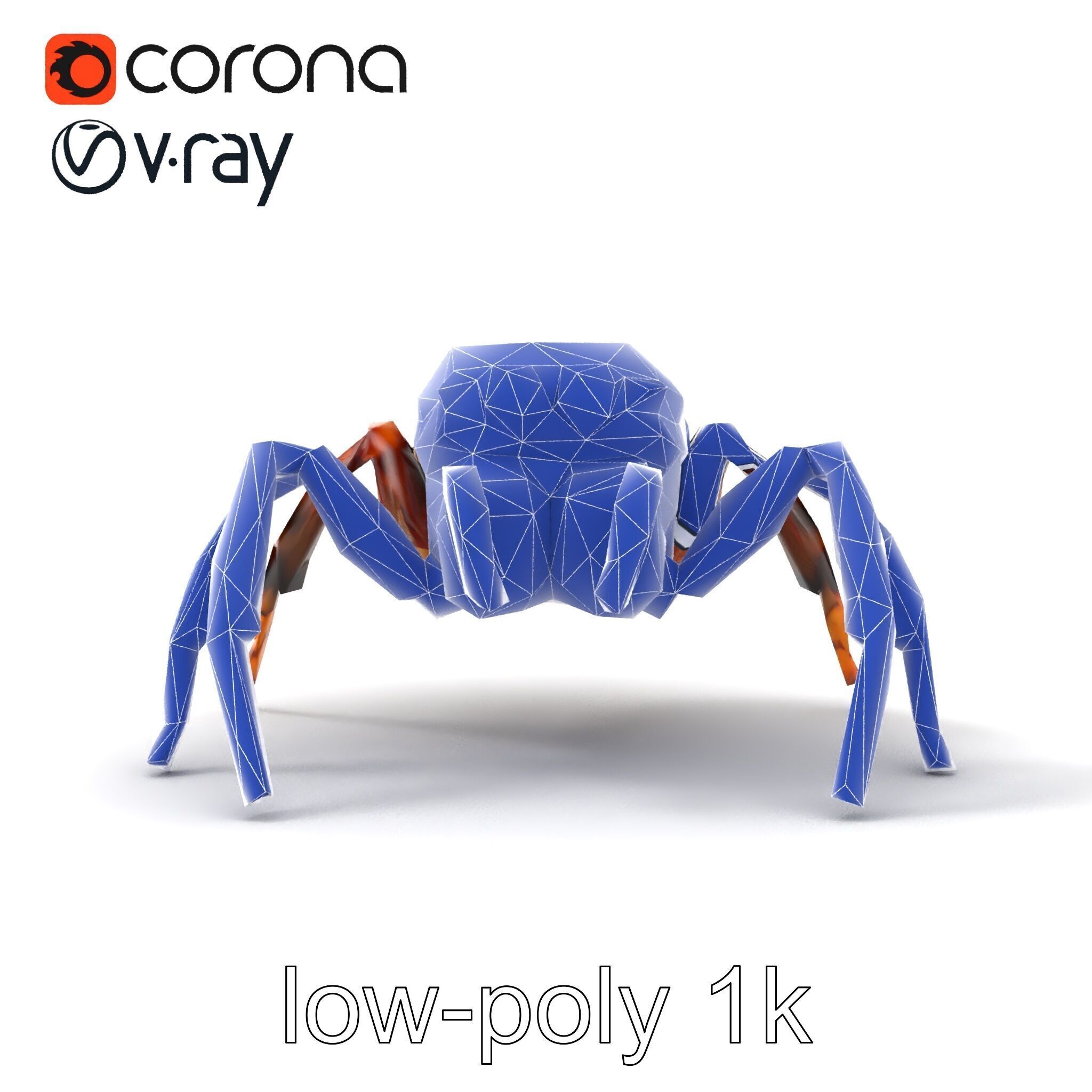 Jumping Spider Colorful Pattern Agile Leaping model pack Low-poly 3D model_27