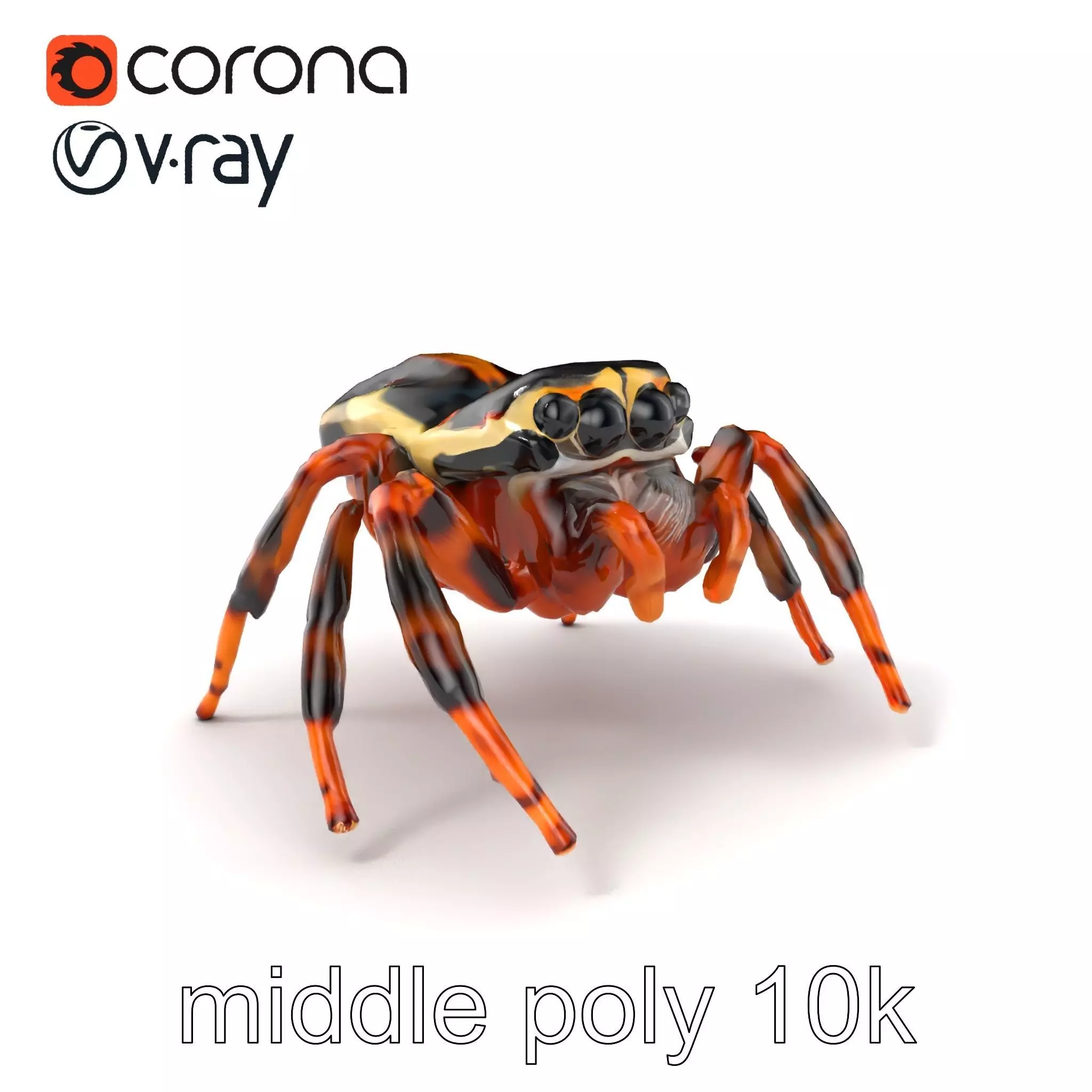 Jumping Spider Colorful Pattern Agile Leaping model pack Low-poly 3D model_0
