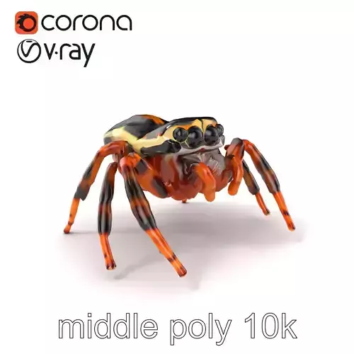 Jumping Spider Colorful Pattern Agile Leaping model pack