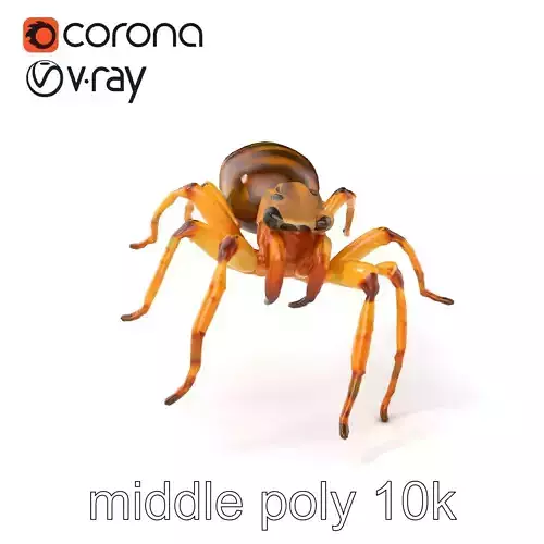 Desert Camel Spider Realistic Insect Model Pack Low-poly 3D model