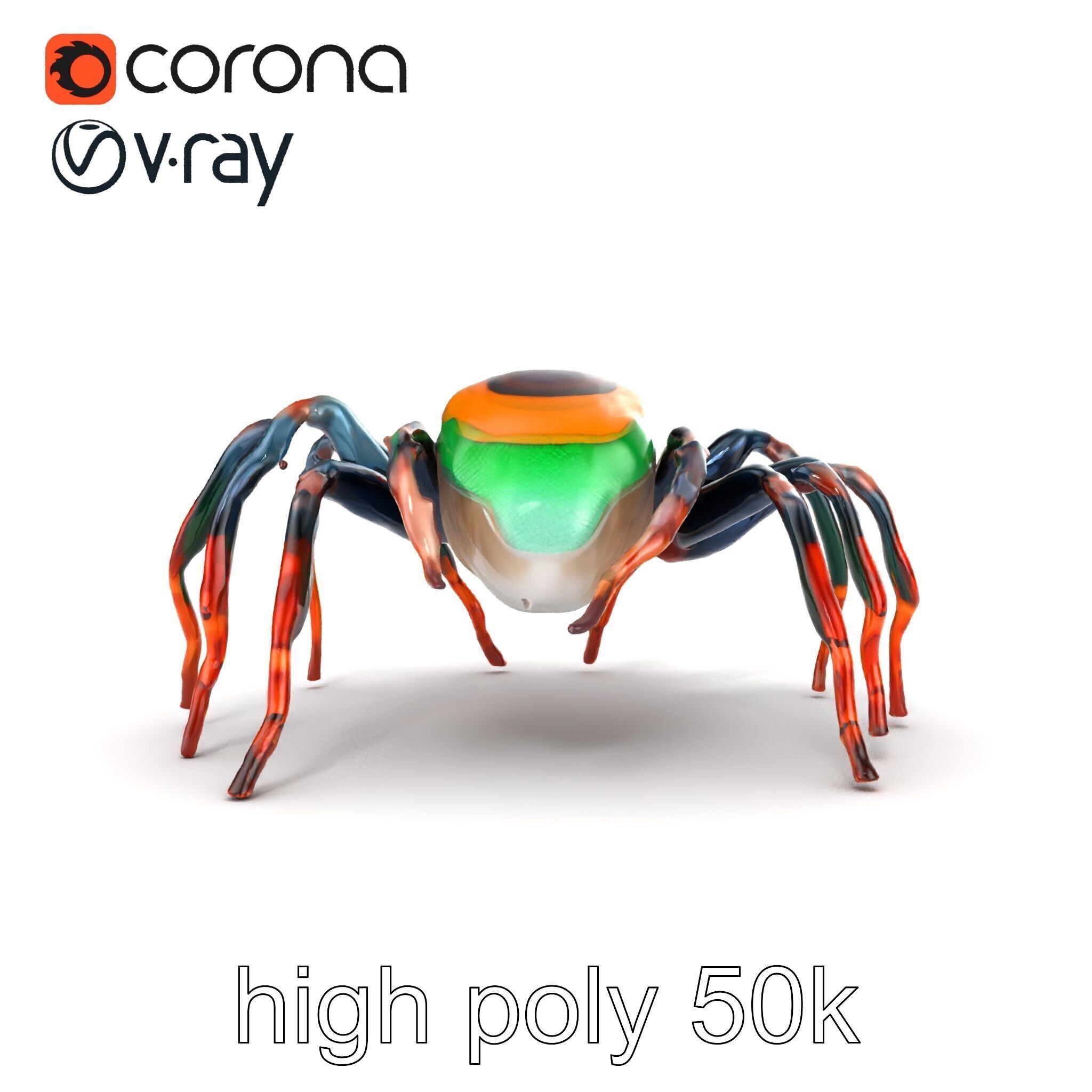 Vibrant Peacock Spider Detailed 3D Model Pack Low-poly 3D model_19