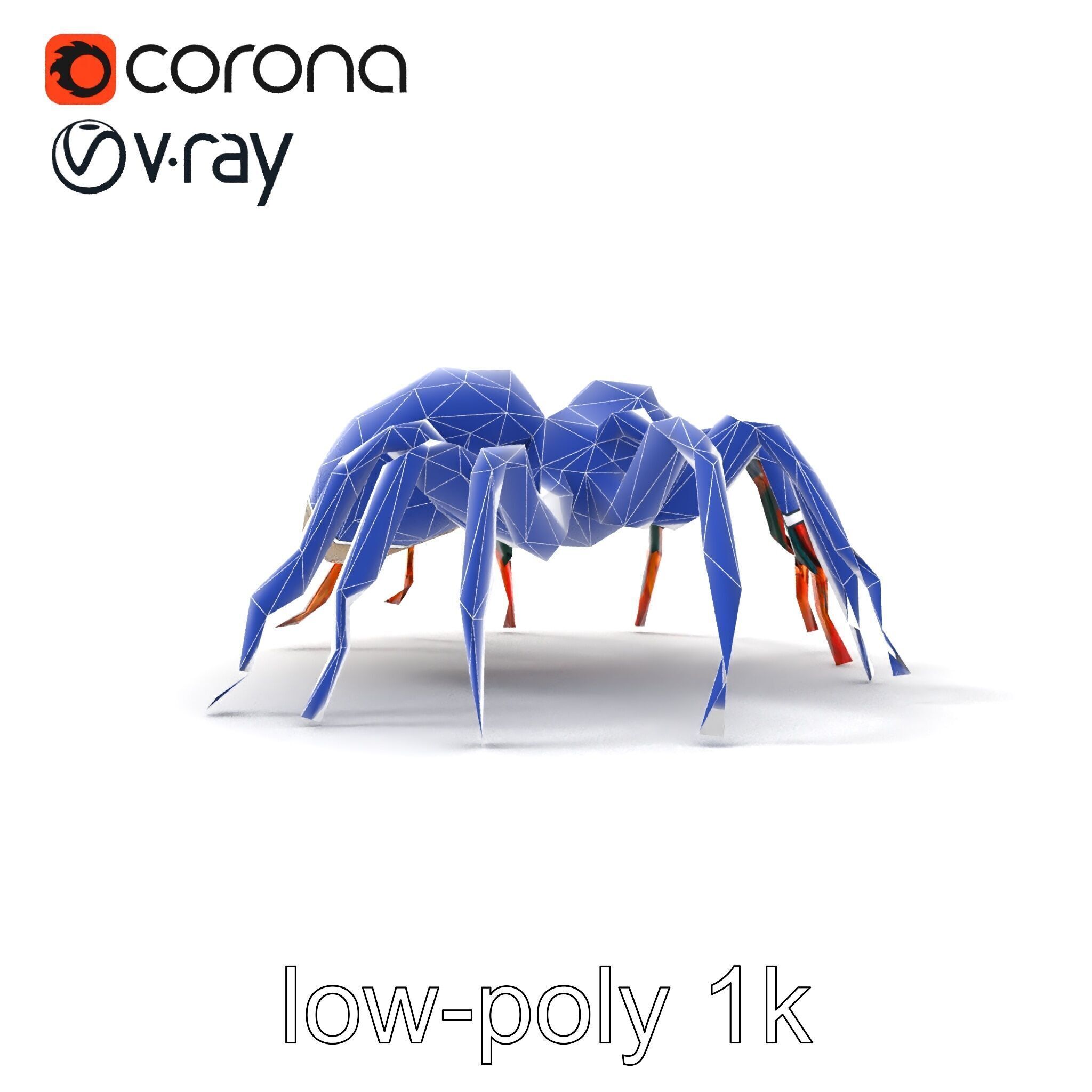 Vibrant Peacock Spider Detailed 3D Model Pack Low-poly 3D model_12