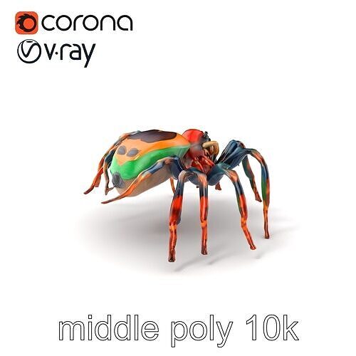 Vibrant Peacock Spider Detailed 3D Model Pack Low-poly 3D model