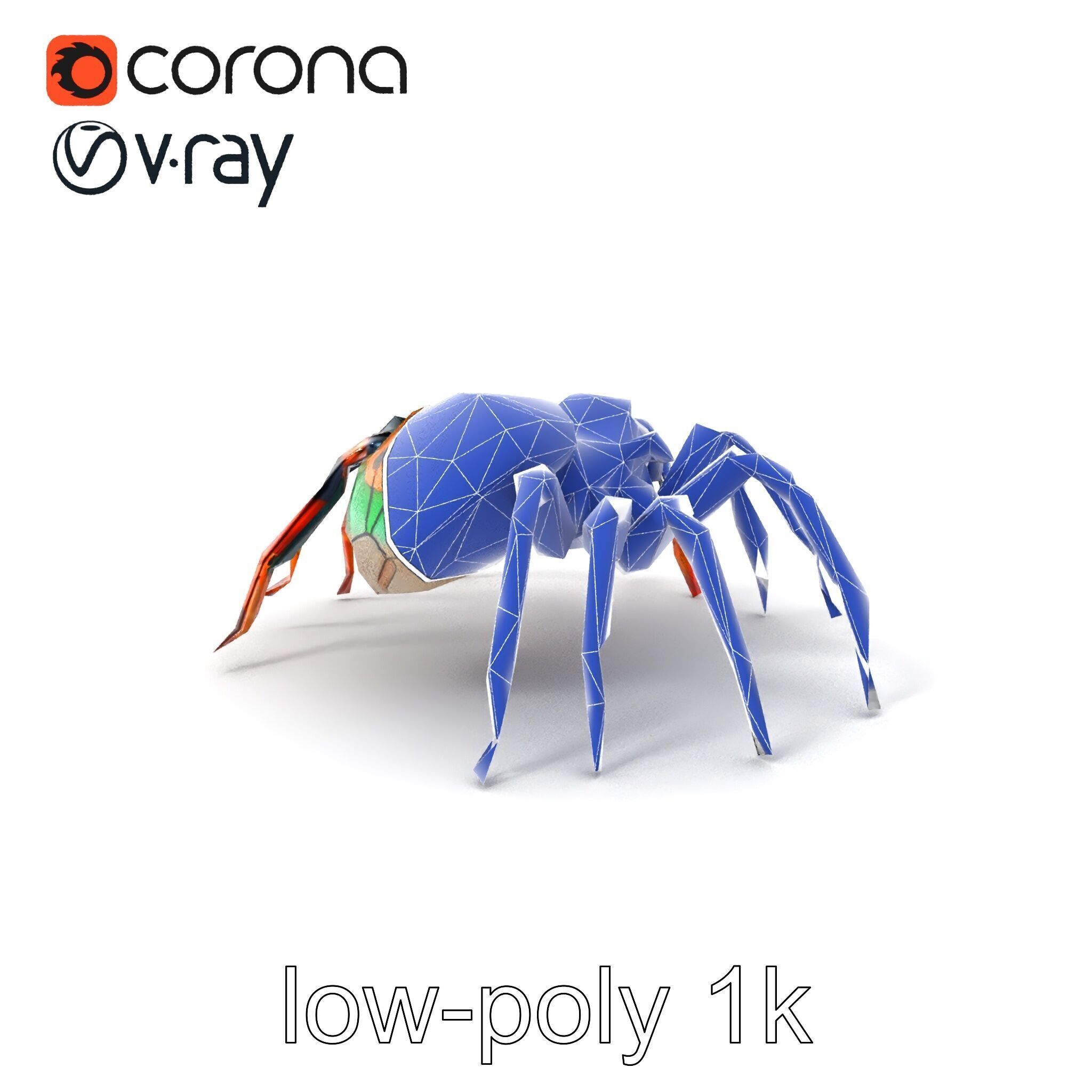 Vibrant Peacock Spider Detailed 3D Model Pack Low-poly 3D model_6