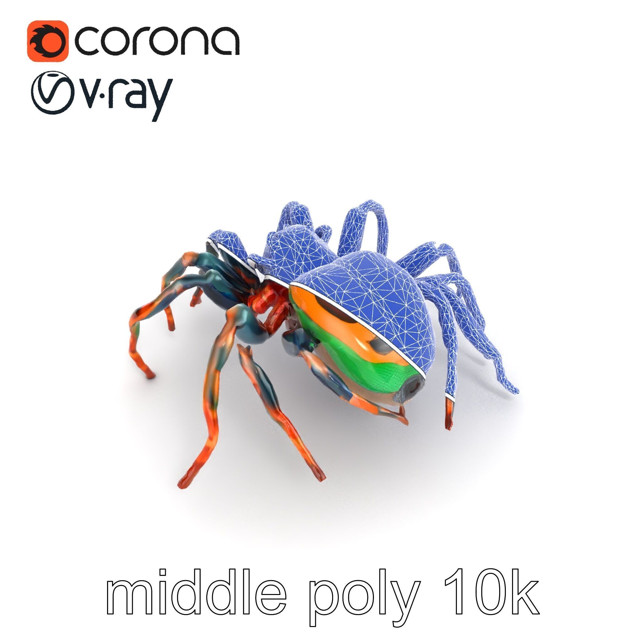 Vibrant Peacock Spider Detailed 3D Model Pack Low-poly 3D model_18