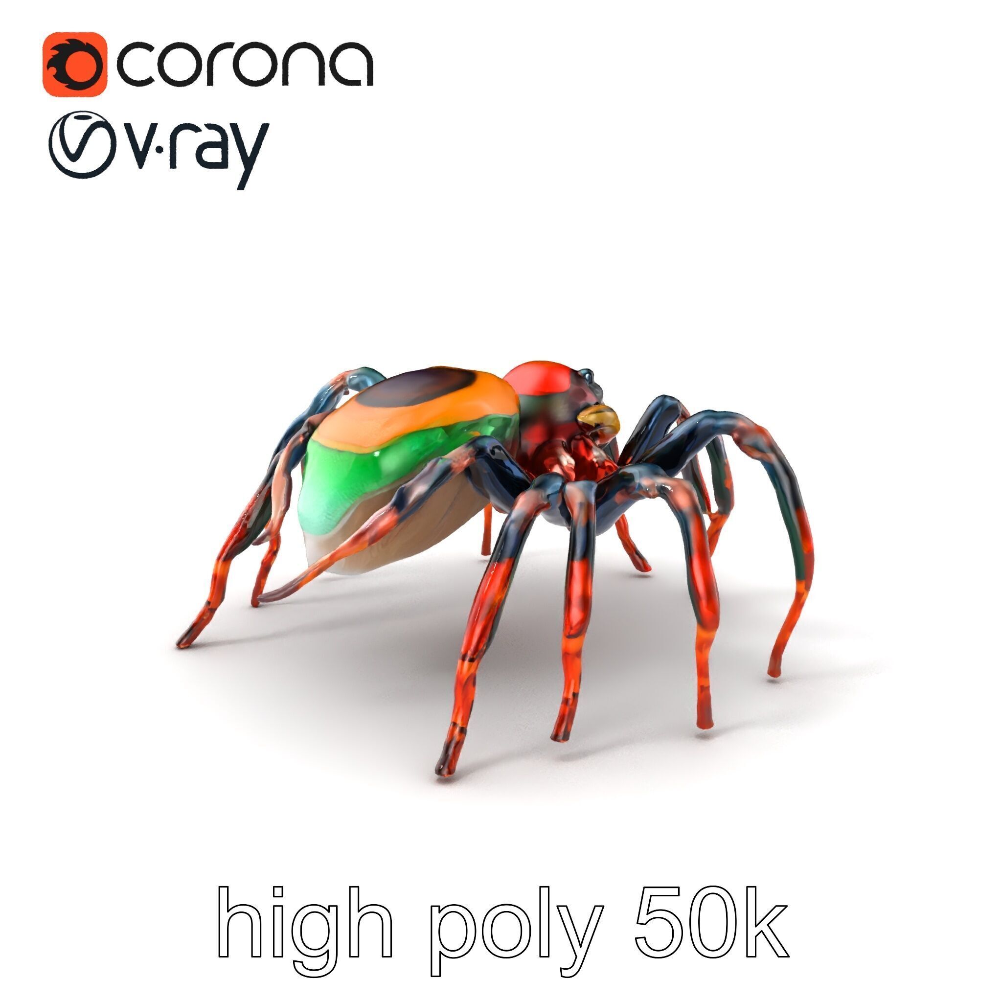 Vibrant Peacock Spider Detailed 3D Model Pack Low-poly 3D model_2