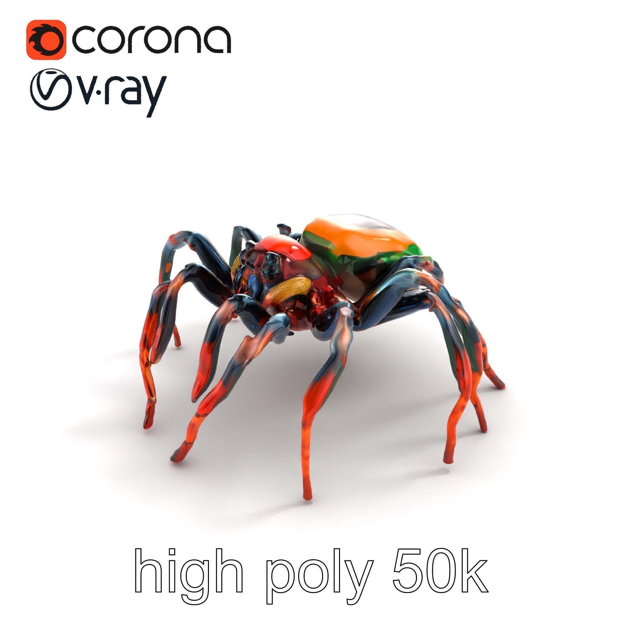 Vibrant Peacock Spider Detailed 3D Model Pack Low-poly 3D model_9