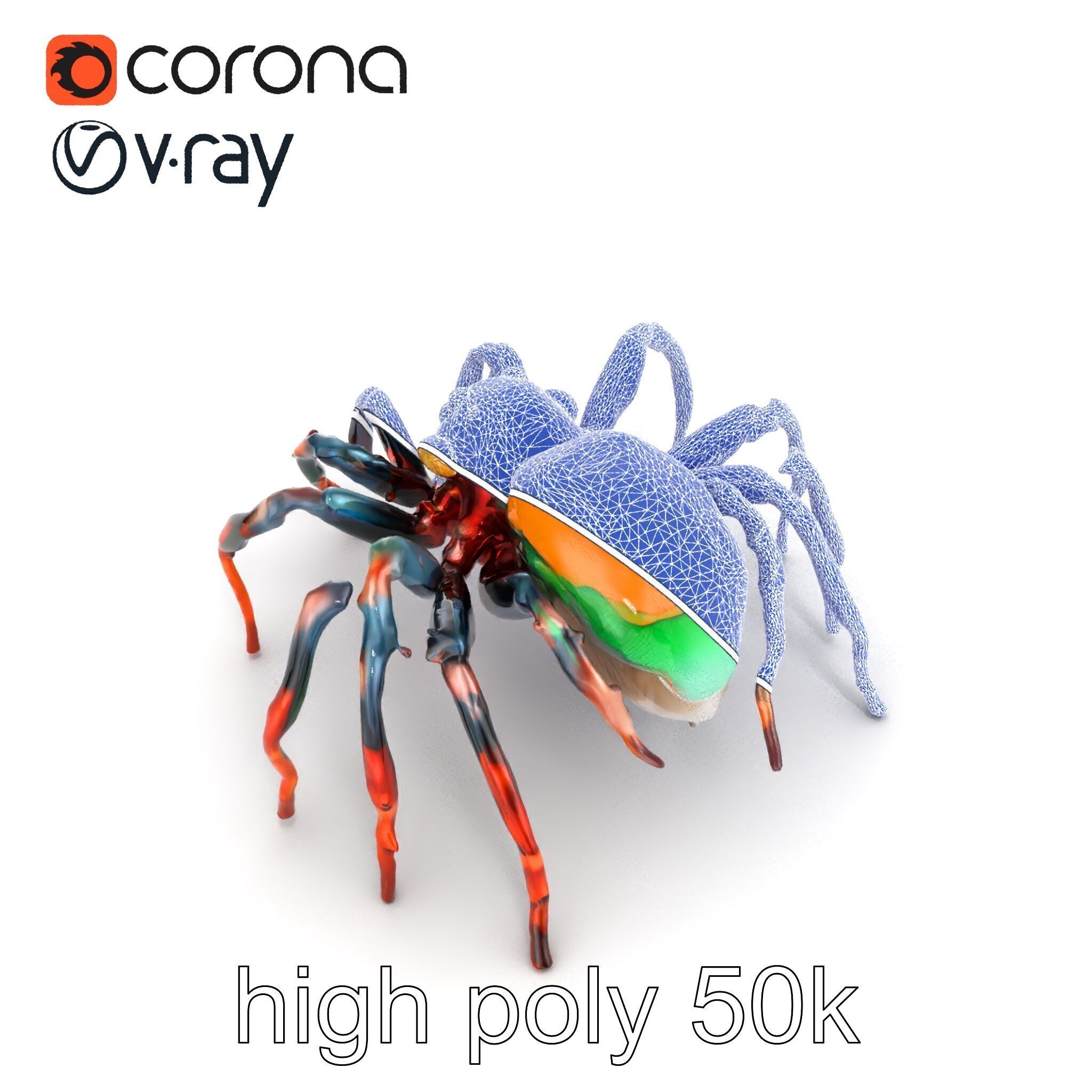 Vibrant Peacock Spider Detailed 3D Model Pack Low-poly 3D model_28