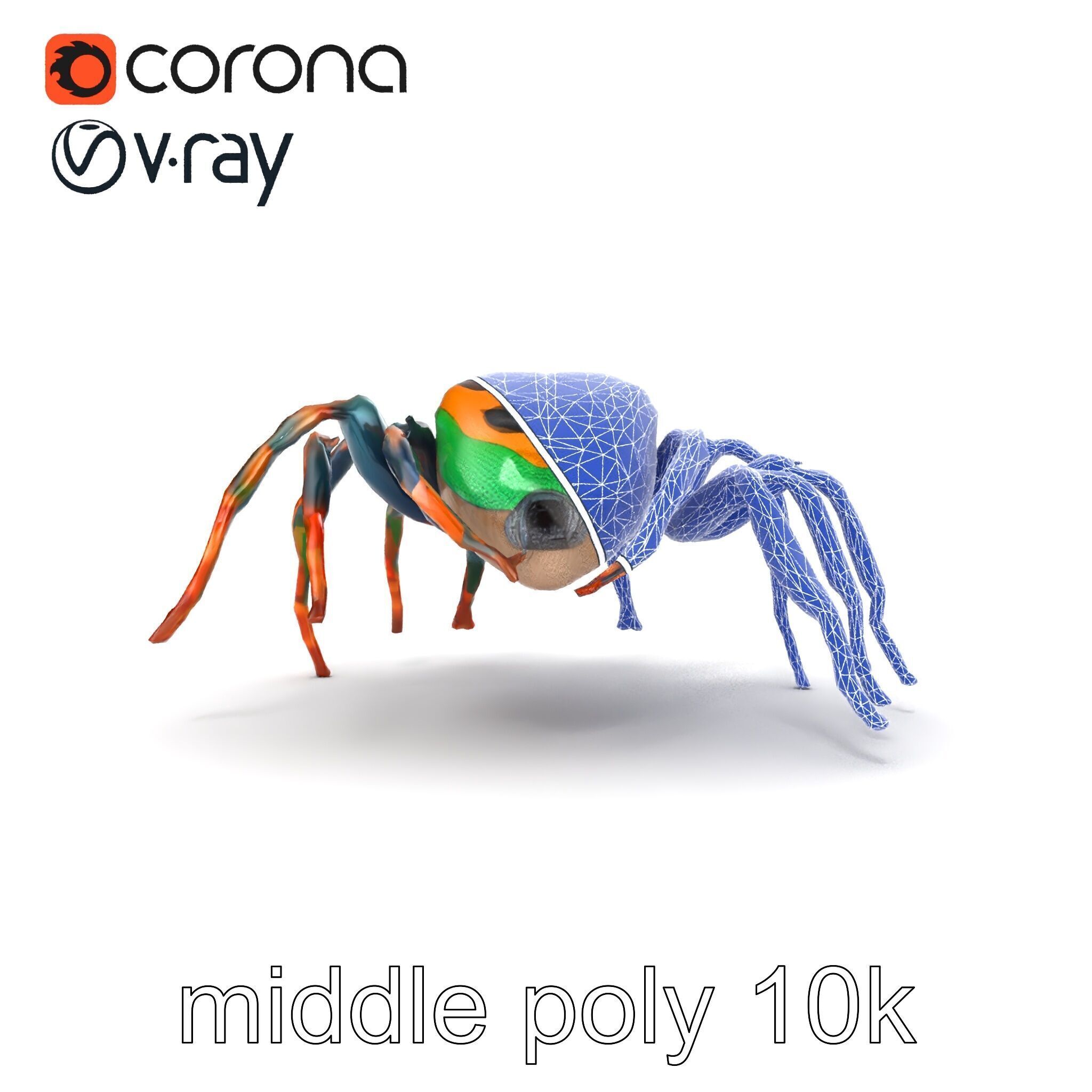 Vibrant Peacock Spider Detailed 3D Model Pack Low-poly 3D model_26