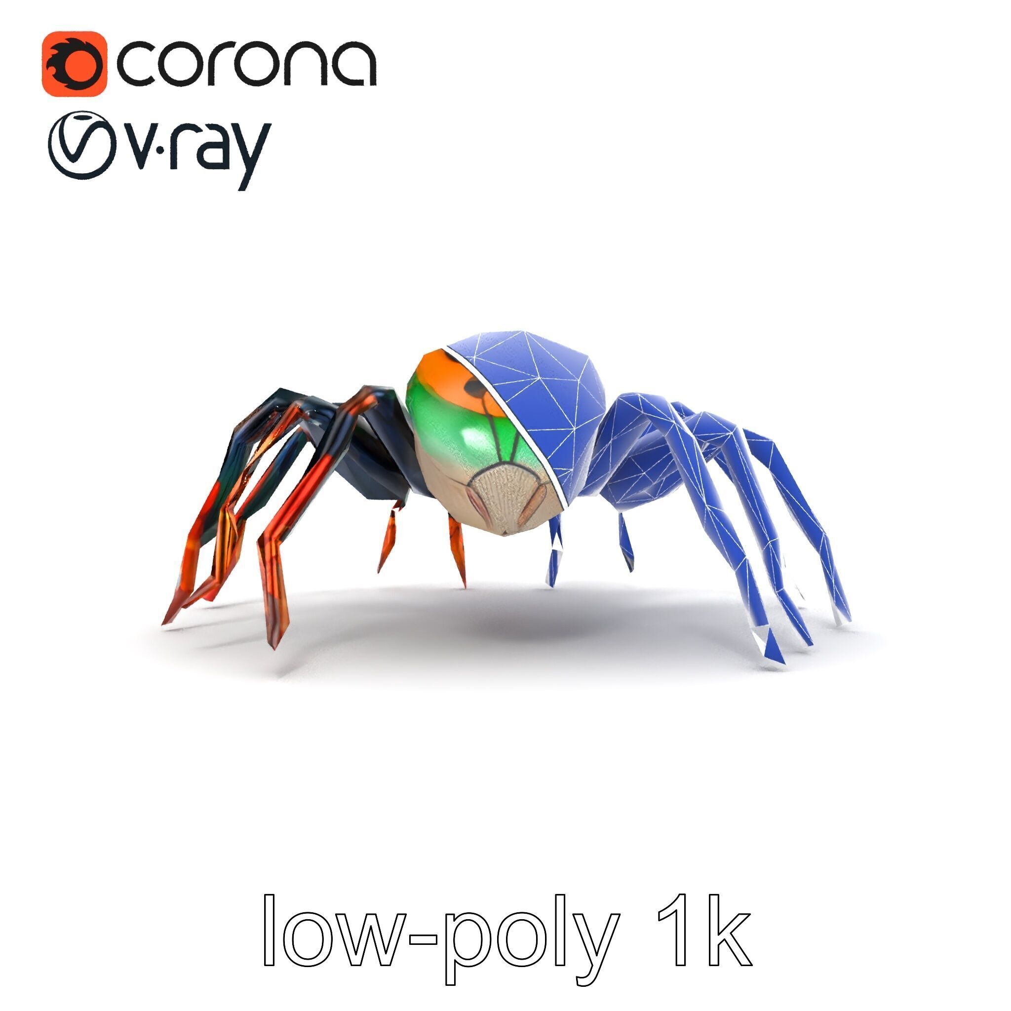 Vibrant Peacock Spider Detailed 3D Model Pack Low-poly 3D model_20