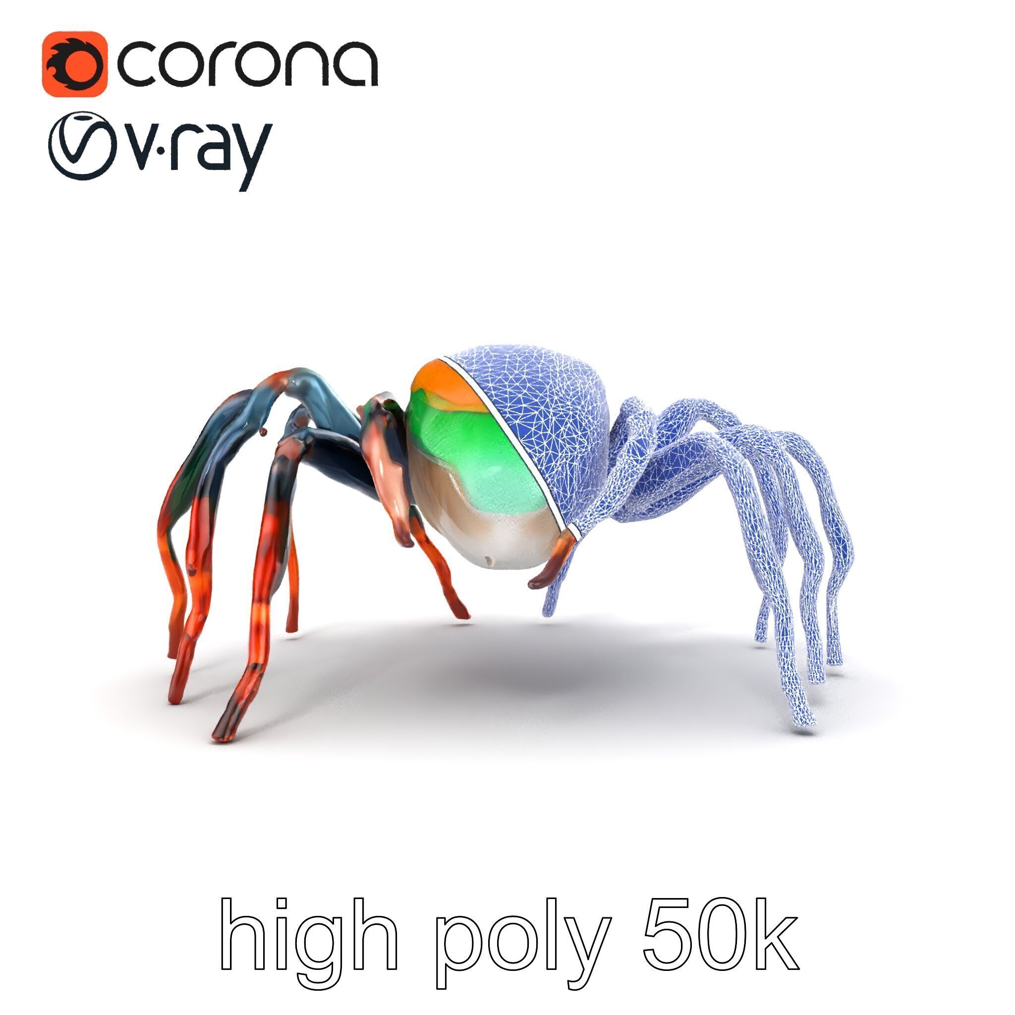 Vibrant Peacock Spider Detailed 3D Model Pack Low-poly 3D model_24