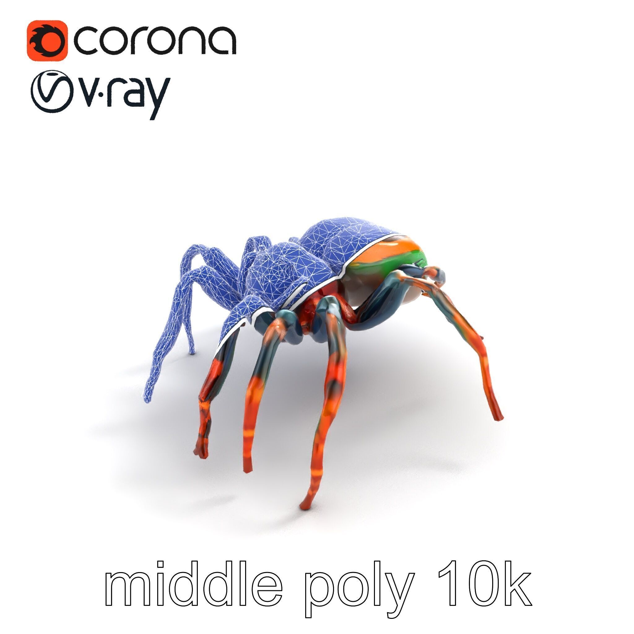 Vibrant Peacock Spider Detailed 3D Model Pack Low-poly 3D model_13