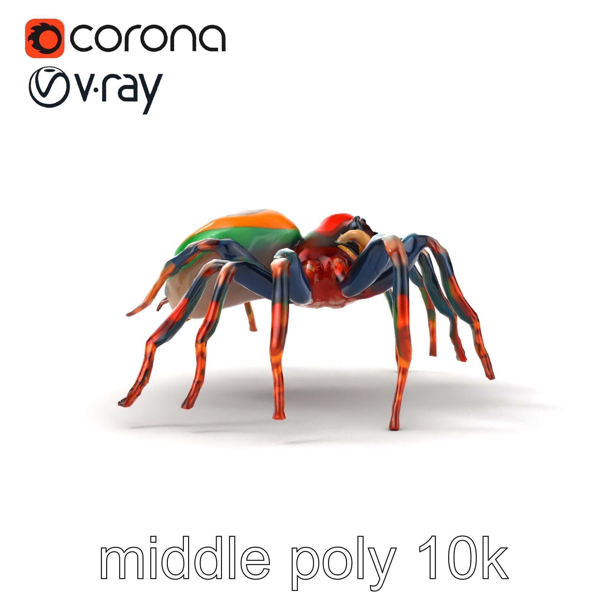 Vibrant Peacock Spider Detailed 3D Model Pack Low-poly 3D model_14