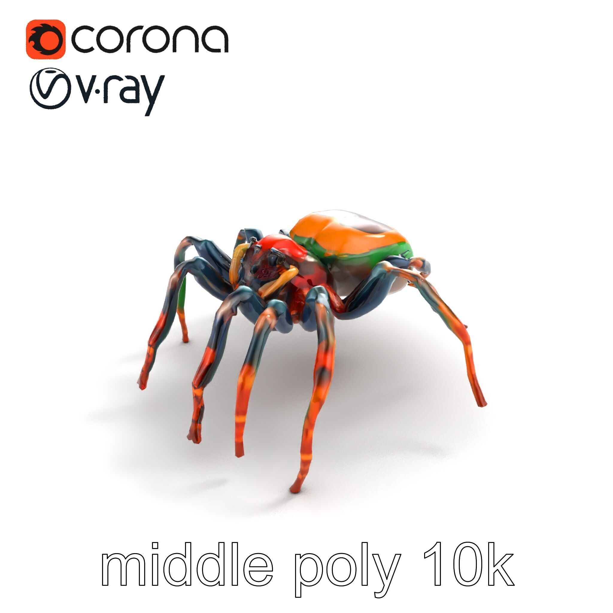 Vibrant Peacock Spider Detailed 3D Model Pack Low-poly 3D model_7