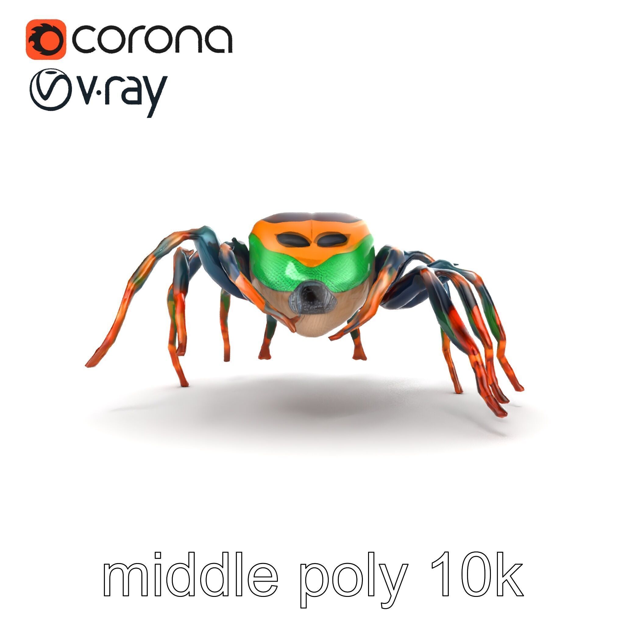 Vibrant Peacock Spider Detailed 3D Model Pack Low-poly 3D model_29