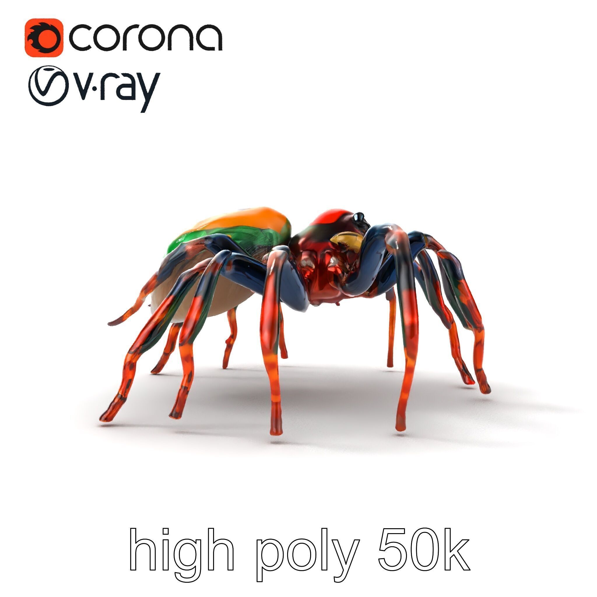 Vibrant Peacock Spider Detailed 3D Model Pack Low-poly 3D model_30