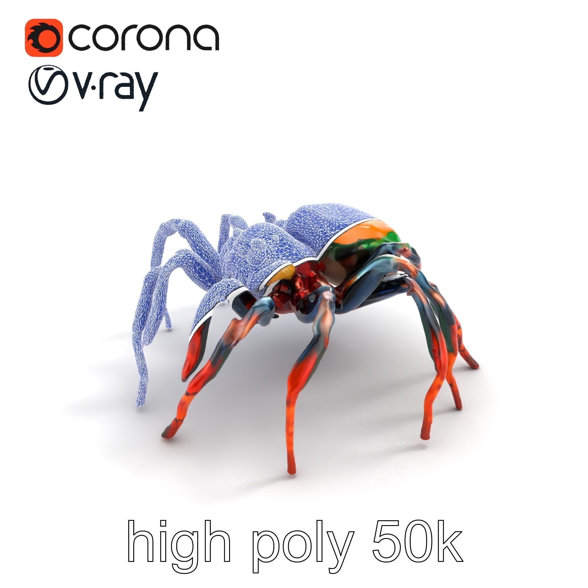 Vibrant Peacock Spider Detailed 3D Model Pack Low-poly 3D model_15