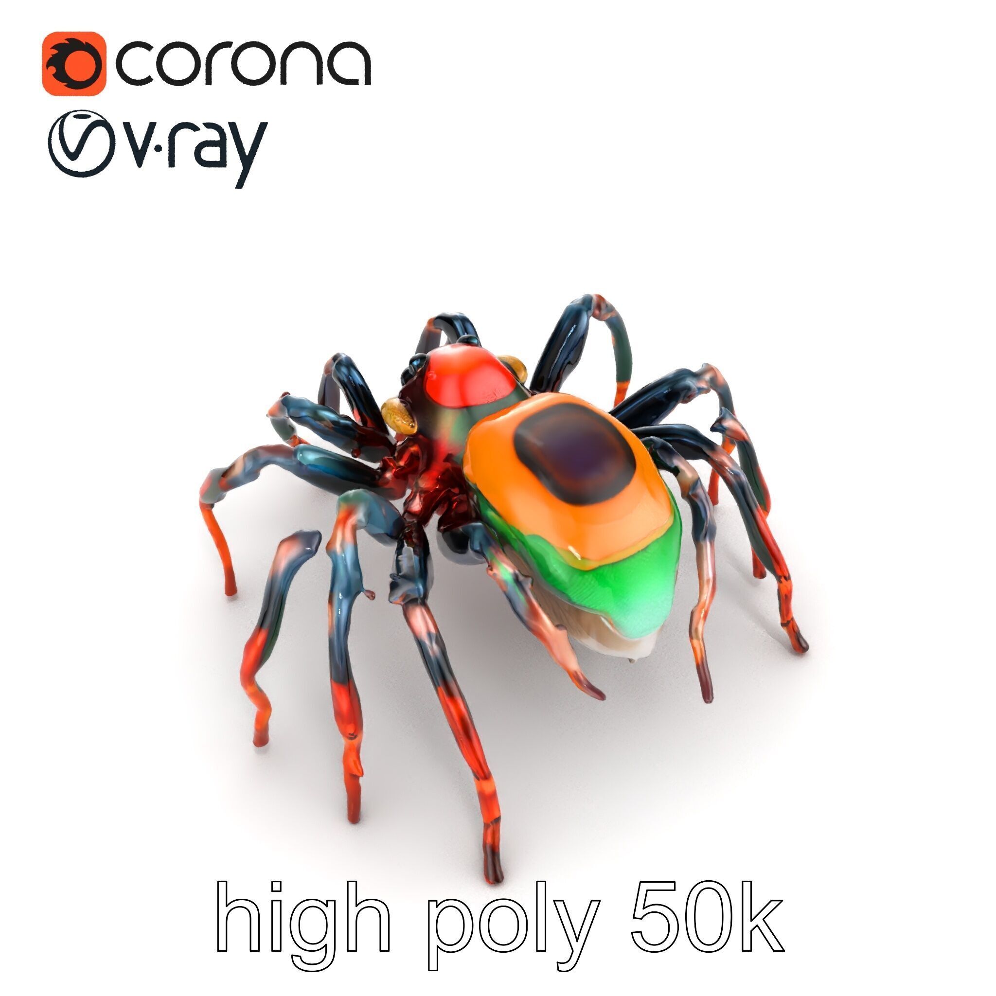 Vibrant Peacock Spider Detailed 3D Model Pack Low-poly 3D model_10