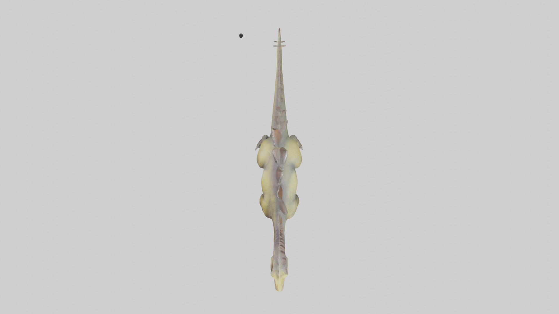 Kentrosaurus model Low-poly 3D model_14