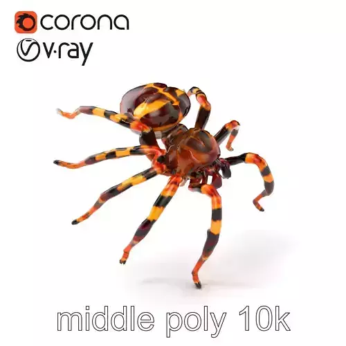 Vibrant Brazilian Wandering Spider model pack Low-poly 3D model