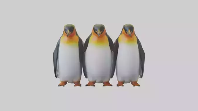 King Penguin huddling model