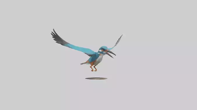 Kingfisher hunting model