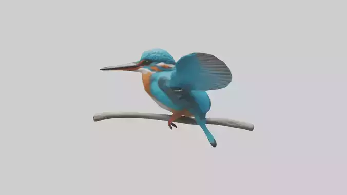 Kingfisher perched model
