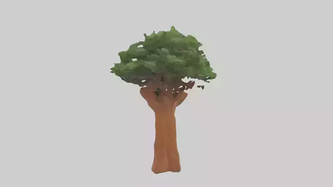 Koa tree model