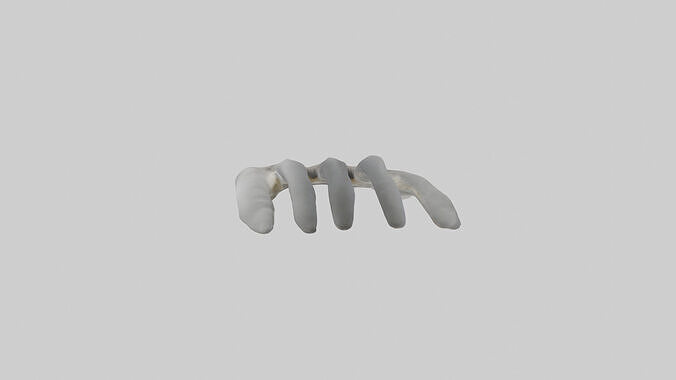 Koala Rib Low-poly 3D model