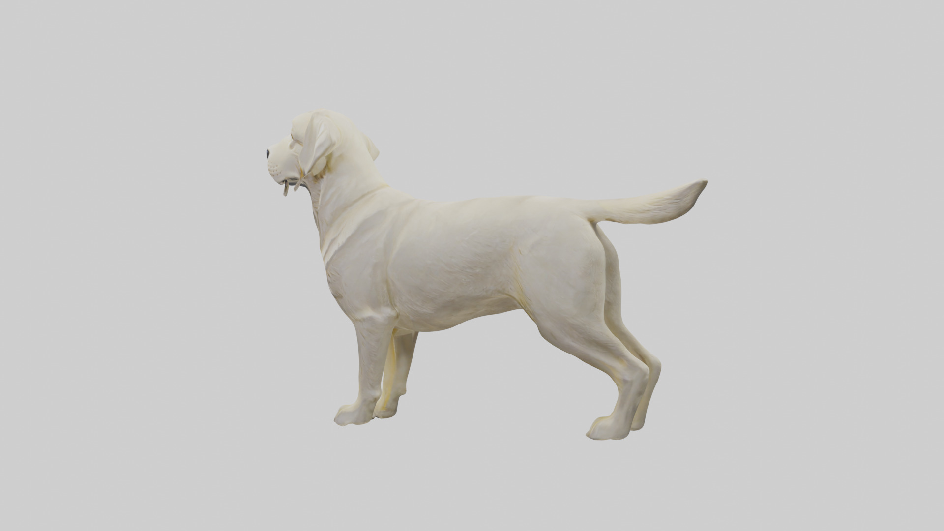 Labrador Retriever statue model Low-poly 3D model_13