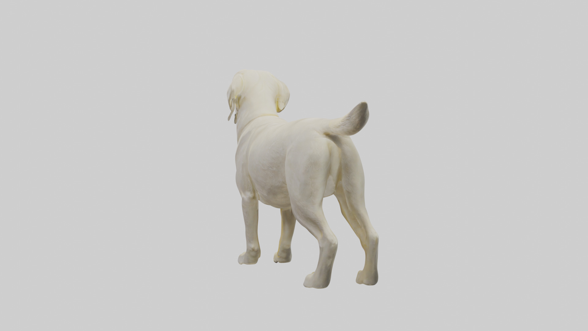 Labrador Retriever statue model Low-poly 3D model_3