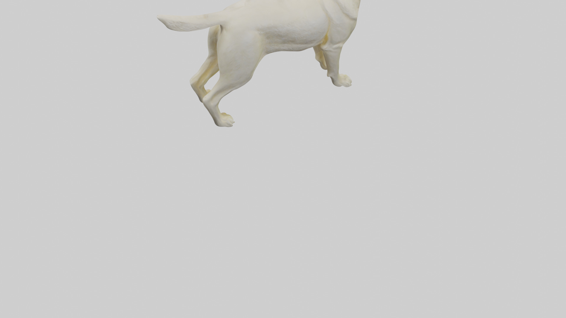Labrador Retriever statue model Low-poly 3D model_6